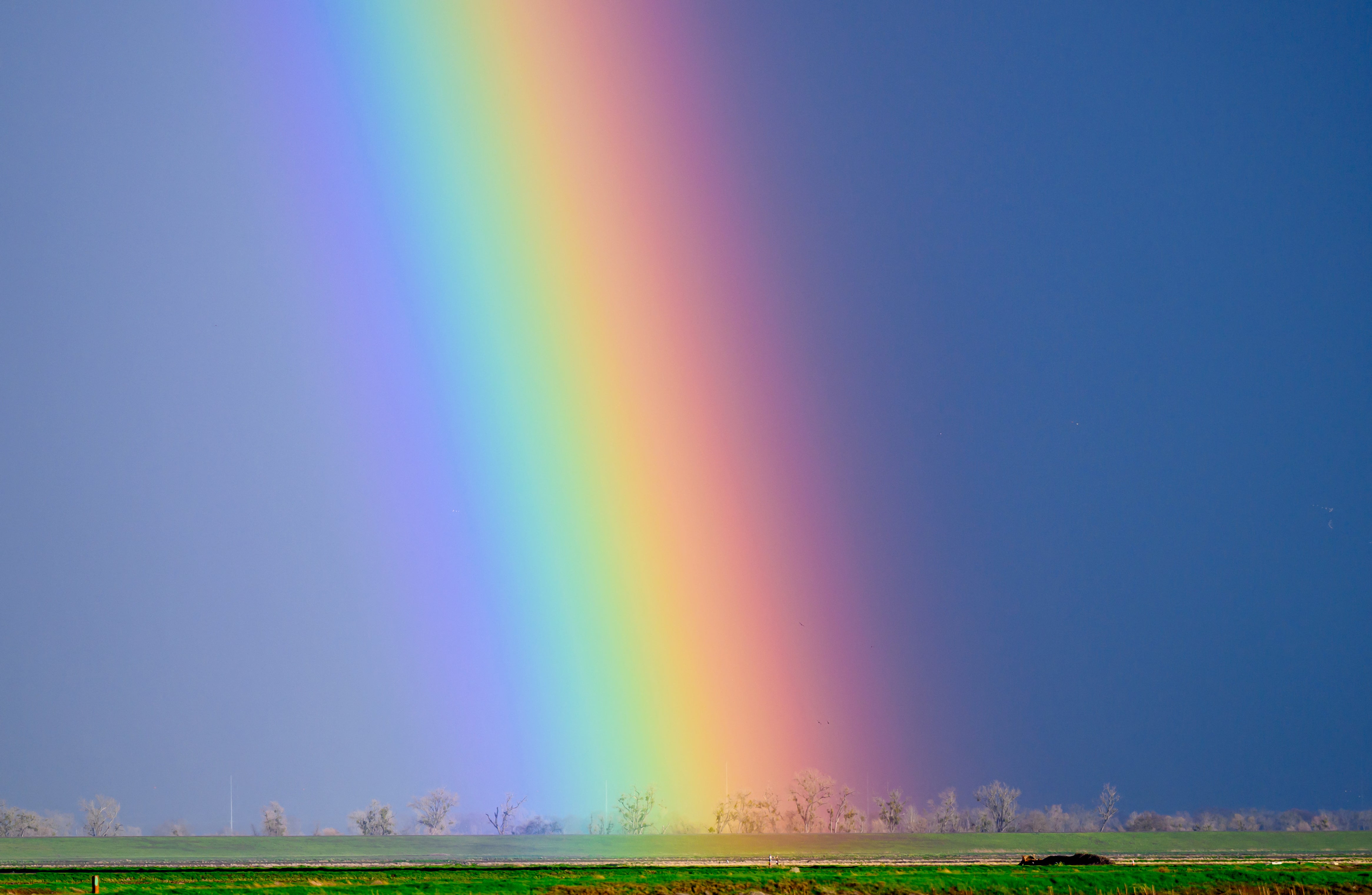 A rainbow is seen in Robbins, California, in February 2024. Regular rainbows form differently than fire rainbows