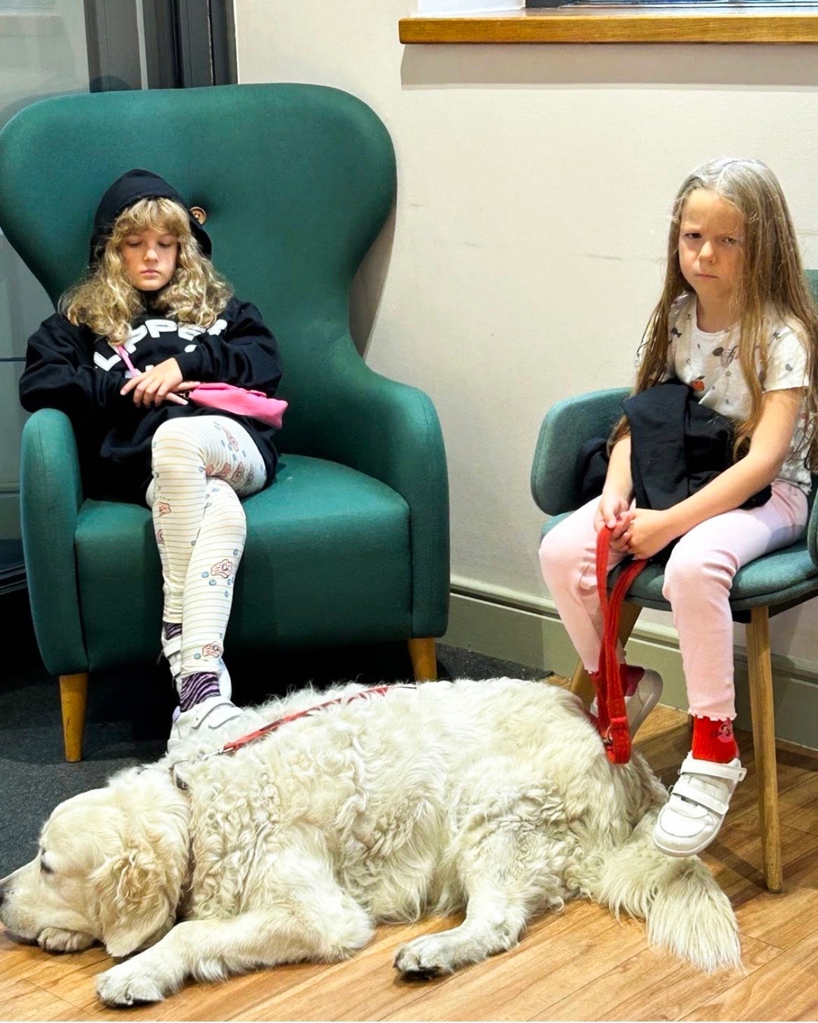Lola and Liberty looking not at all impressed with the fun on offer from a visit to the bank