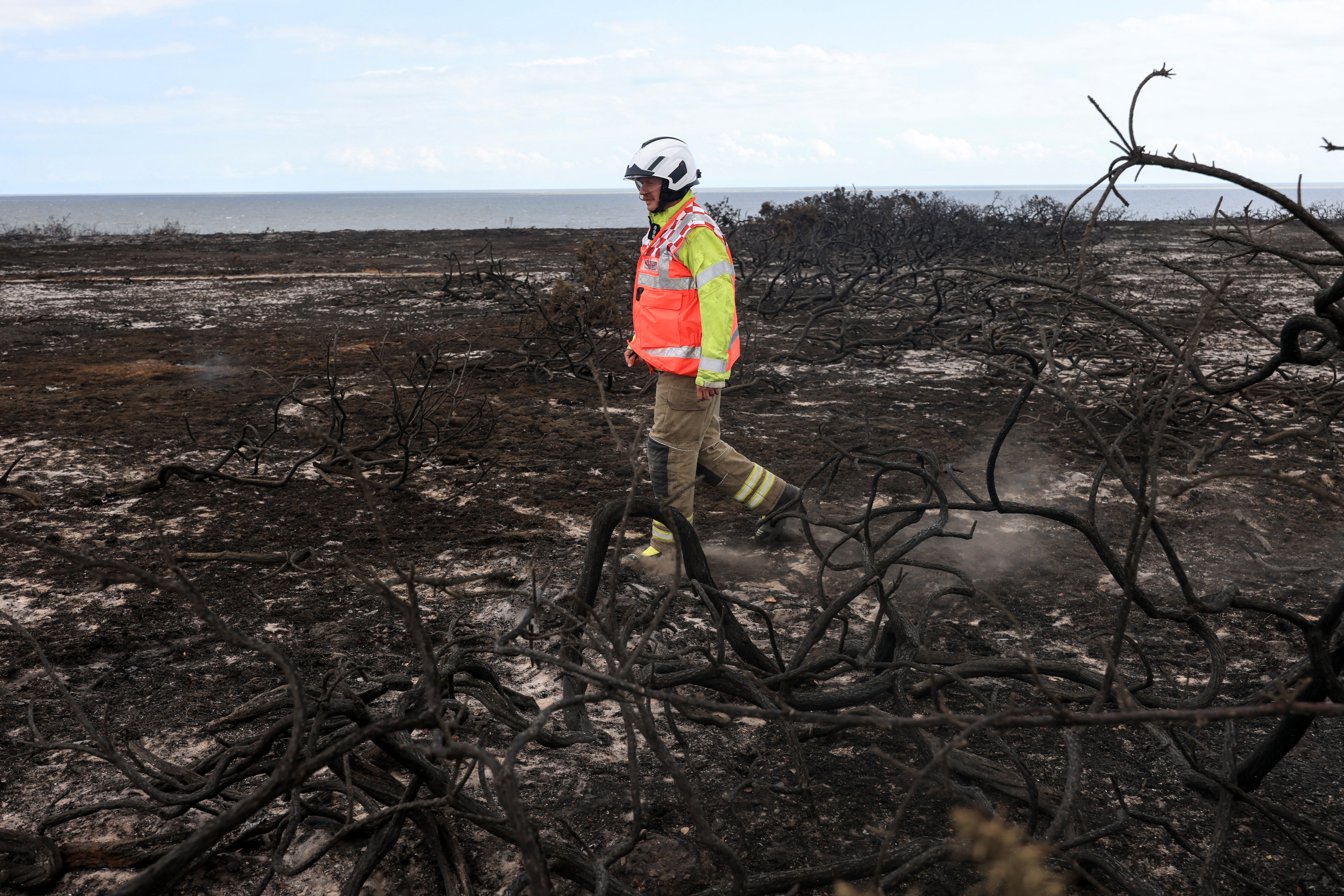 National Trust has started an emergency fundraiser for the heath (AFP/Getty)