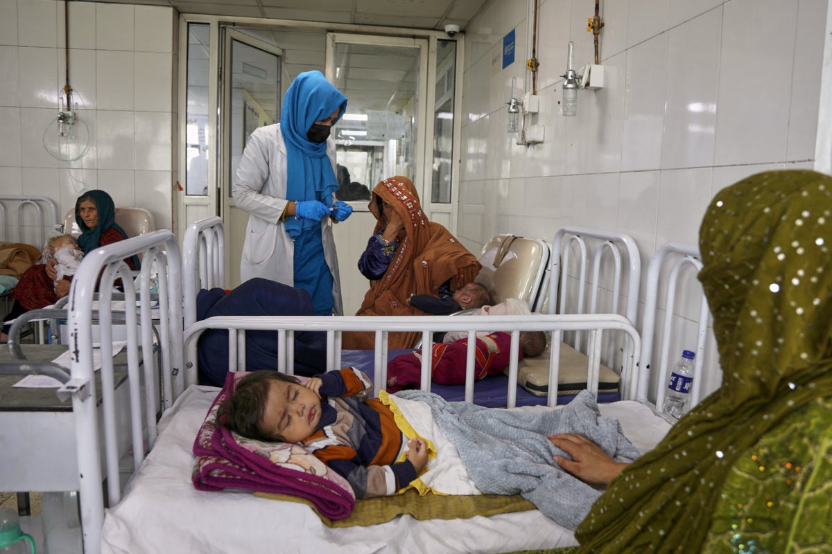 Afghanistans child deaths are rising as food distributions face cuts, UN says