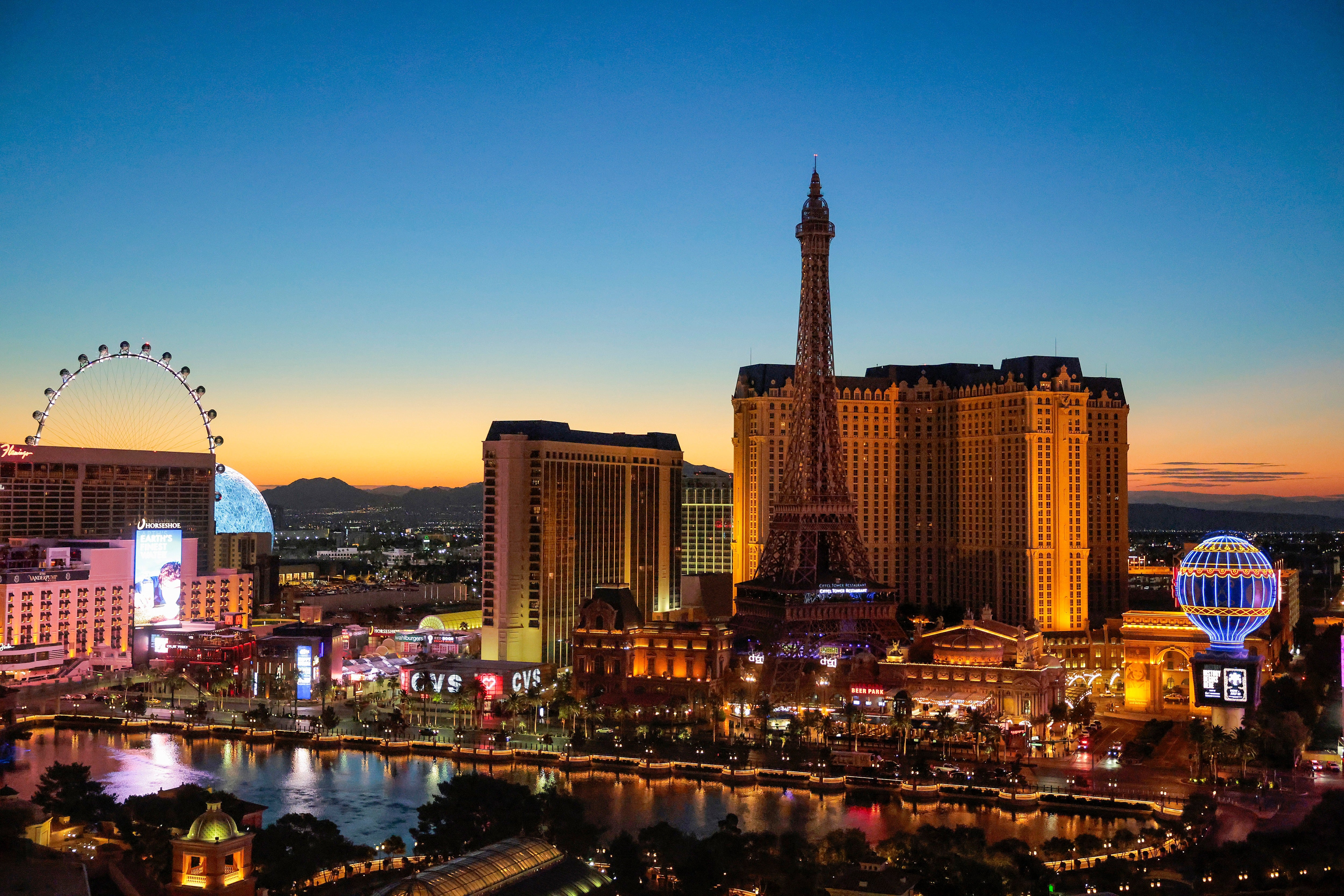 The pilot of the four-seat plane alerted Air Traffic Control that the back door had fallen off shortly after taking off from the North Las Vegas Airport on June 3, according to a new report (Getty Images)