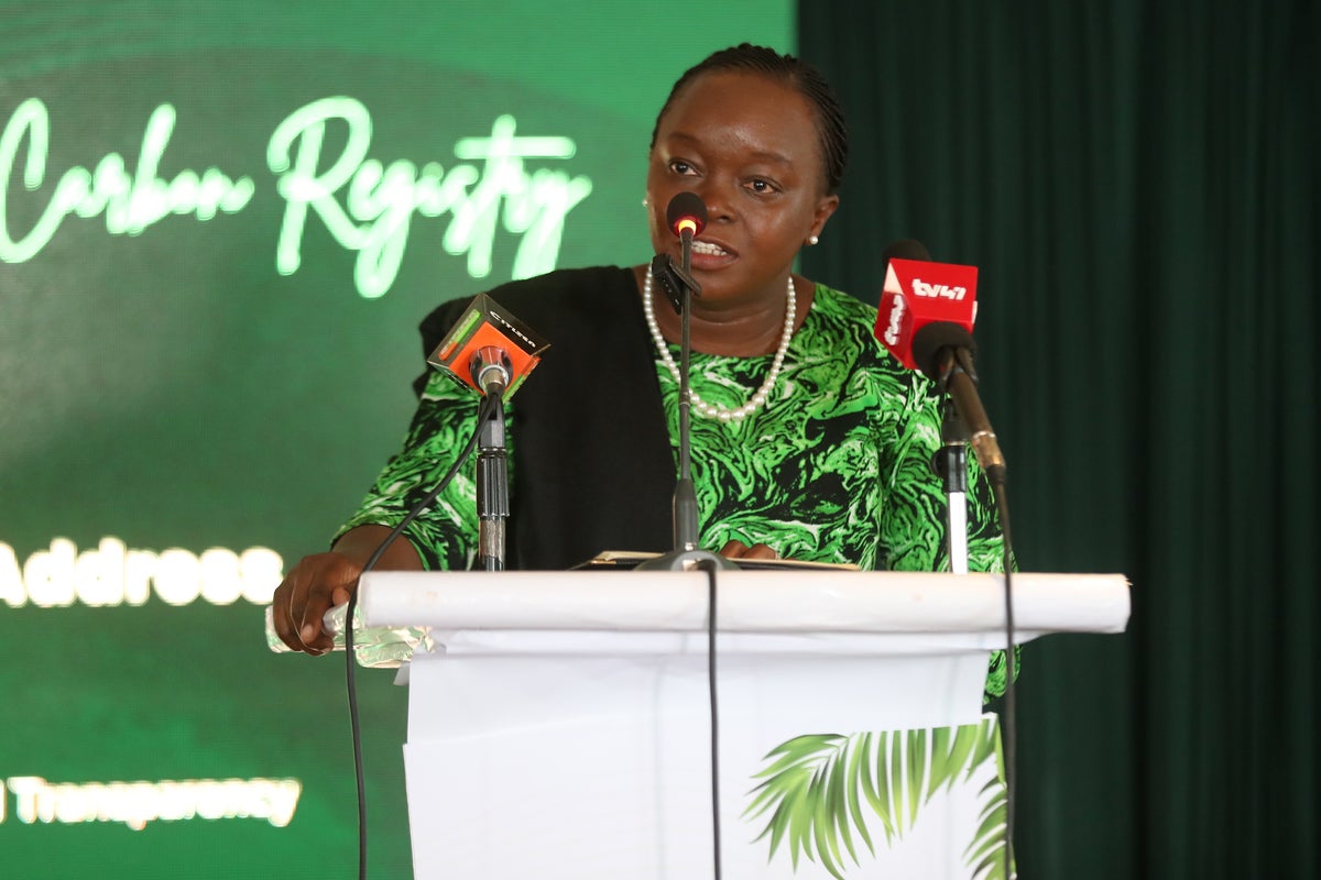 Kenya Establishes New Regulations for International Carbon Credit Trading
