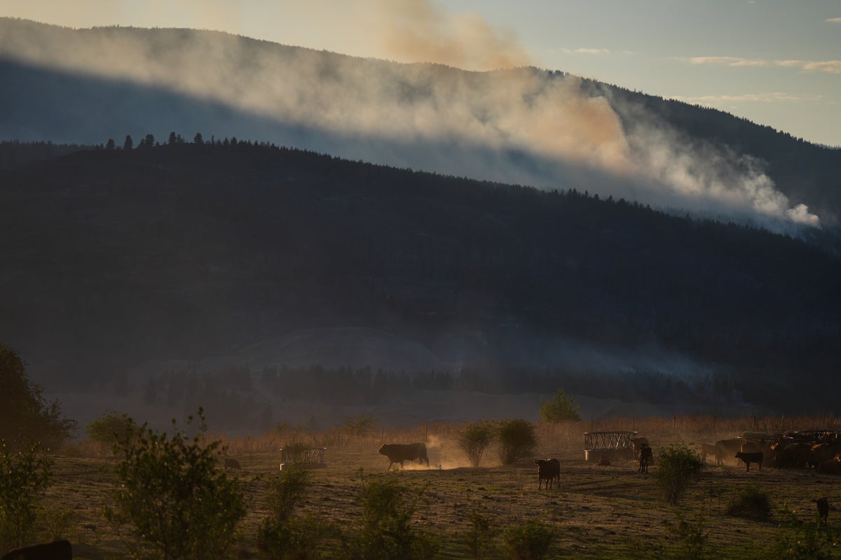 Wildfire destroys about 230 homes in western Canadian Indigenous community, officials say