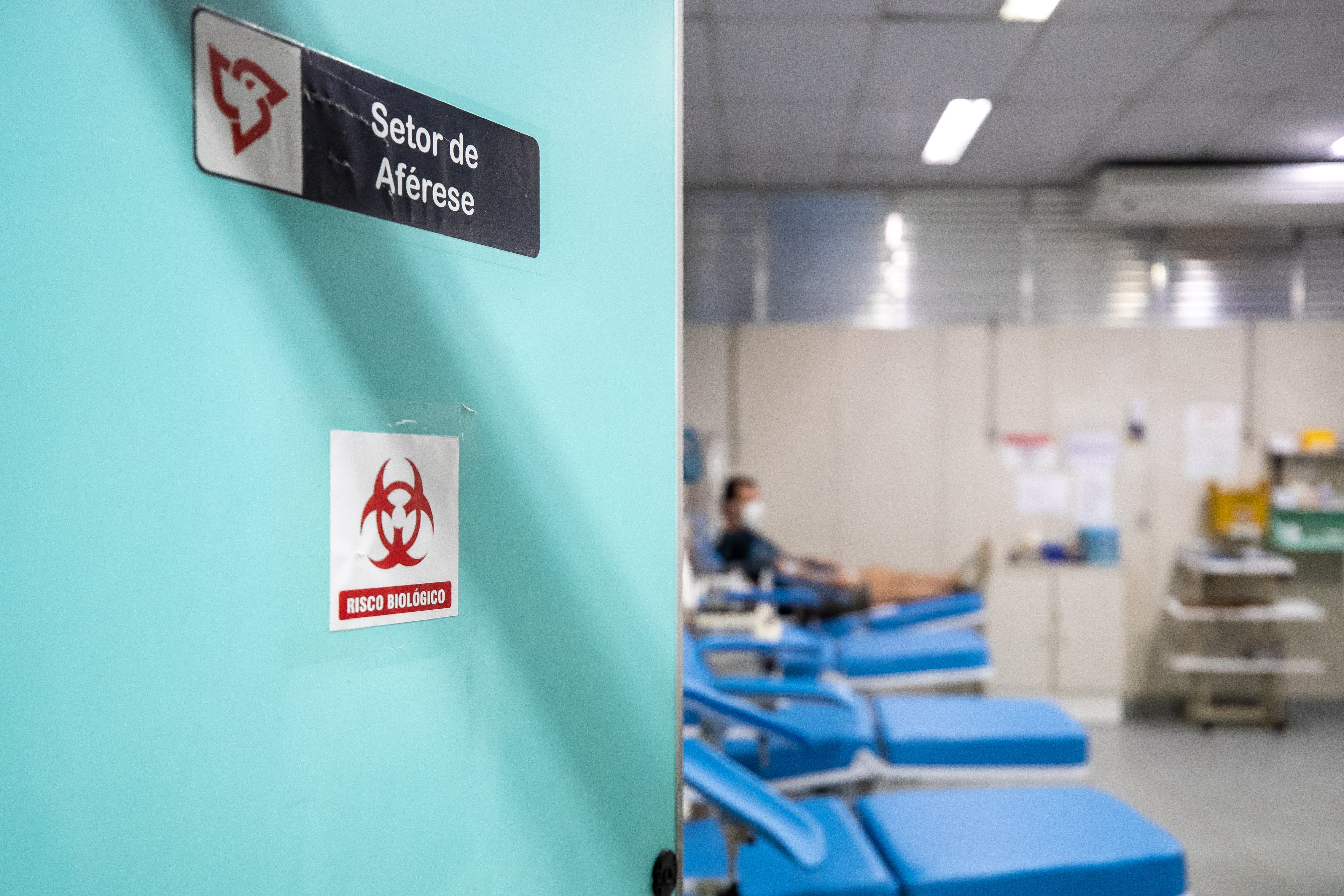 Apheresis sector at Hemorio