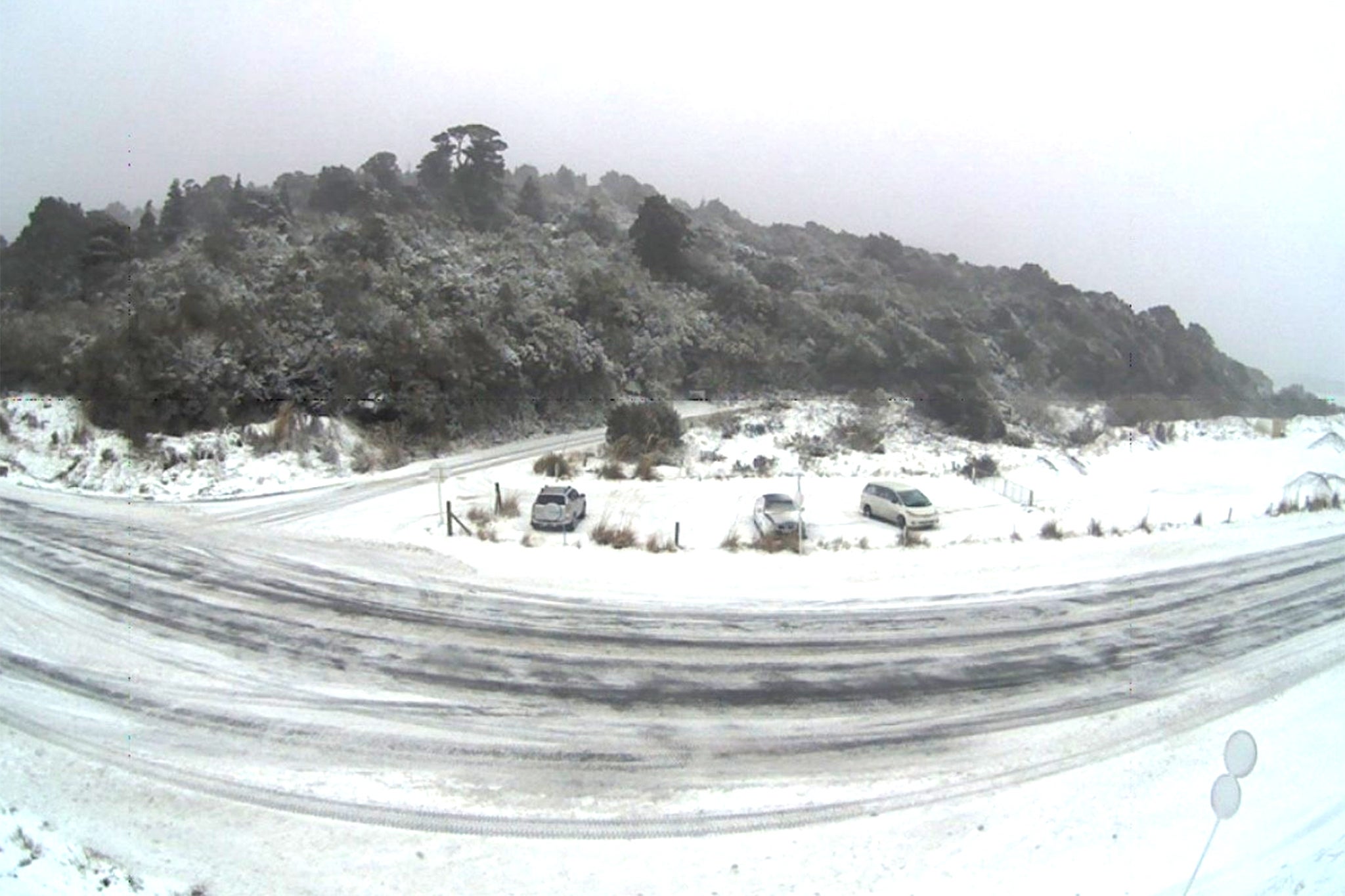https://static.independent.co.uk/2026/08/04/7/27/snownz.jpeg?trim=0,0,0,0&width=1200&height=800&crop=1200:800