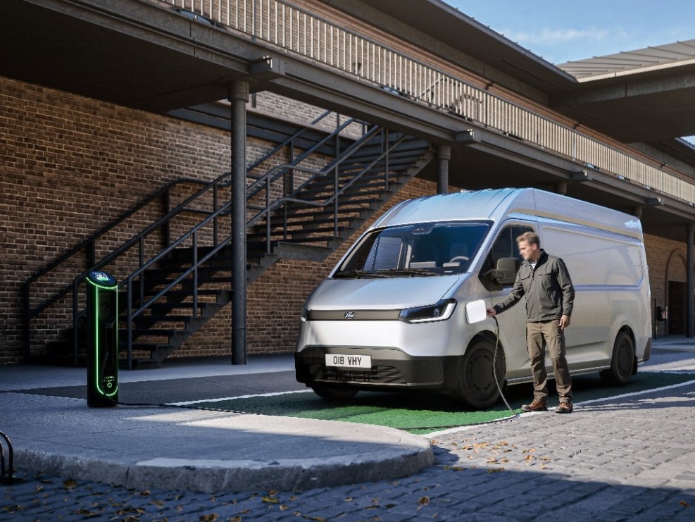 One in five of Climate Group's Ev100 members has already electrified more than half of its entire fleet (Ford)