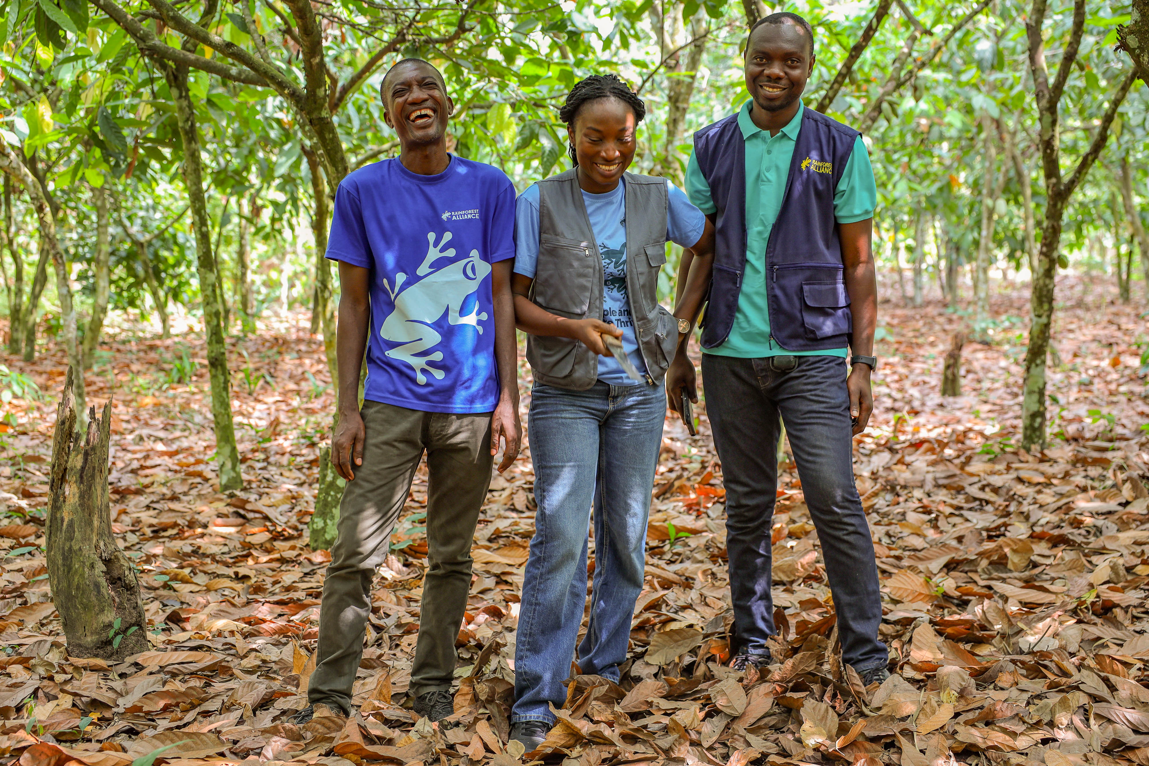Farmers at a Rainforest Alliance-certified cocoa farm in Ghana (Rainforest Alliance/Misper Apawu)