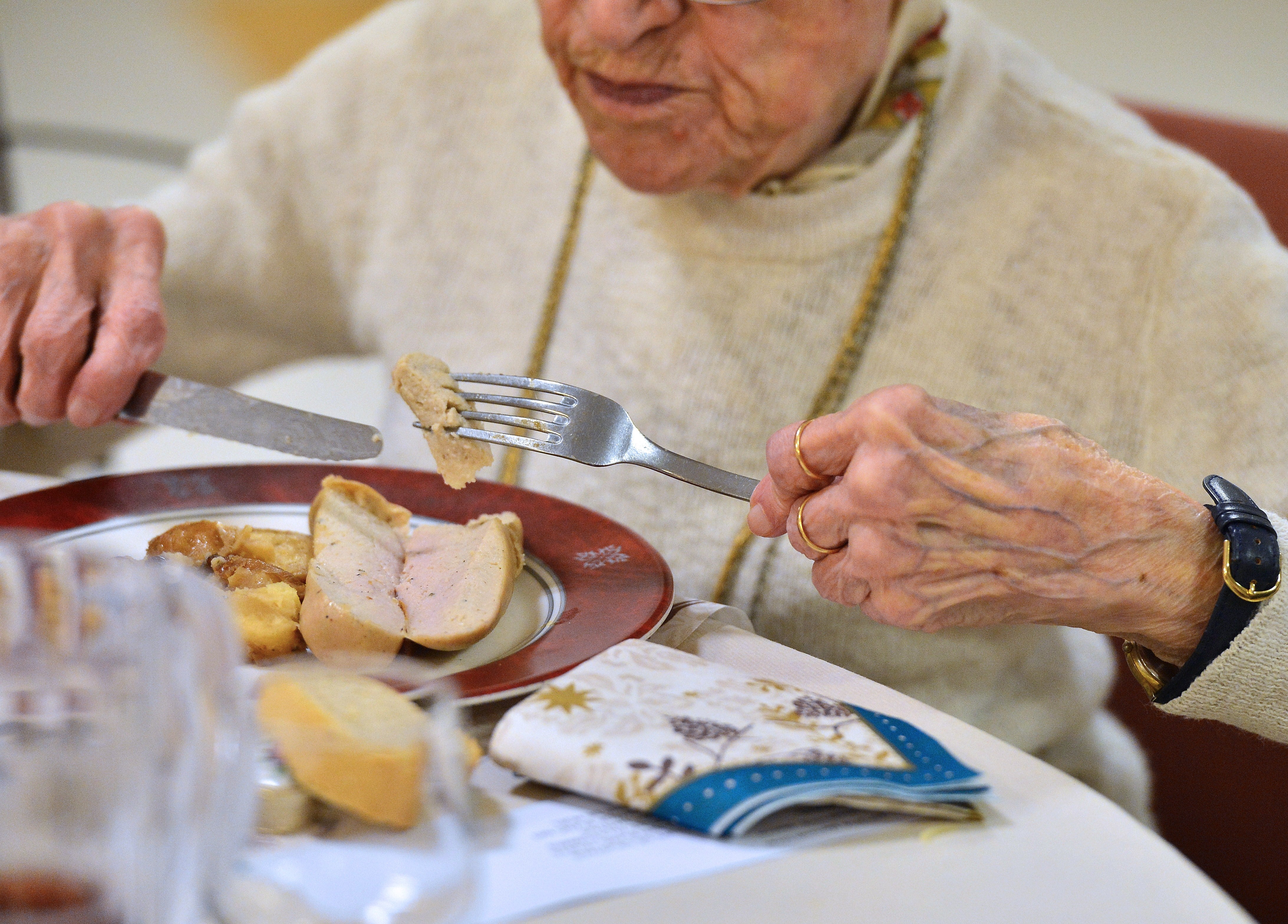 independent.co.uk - Jane Dalton - Carers fed dog food to frail elderly woman amid 'catalogue of errors'
