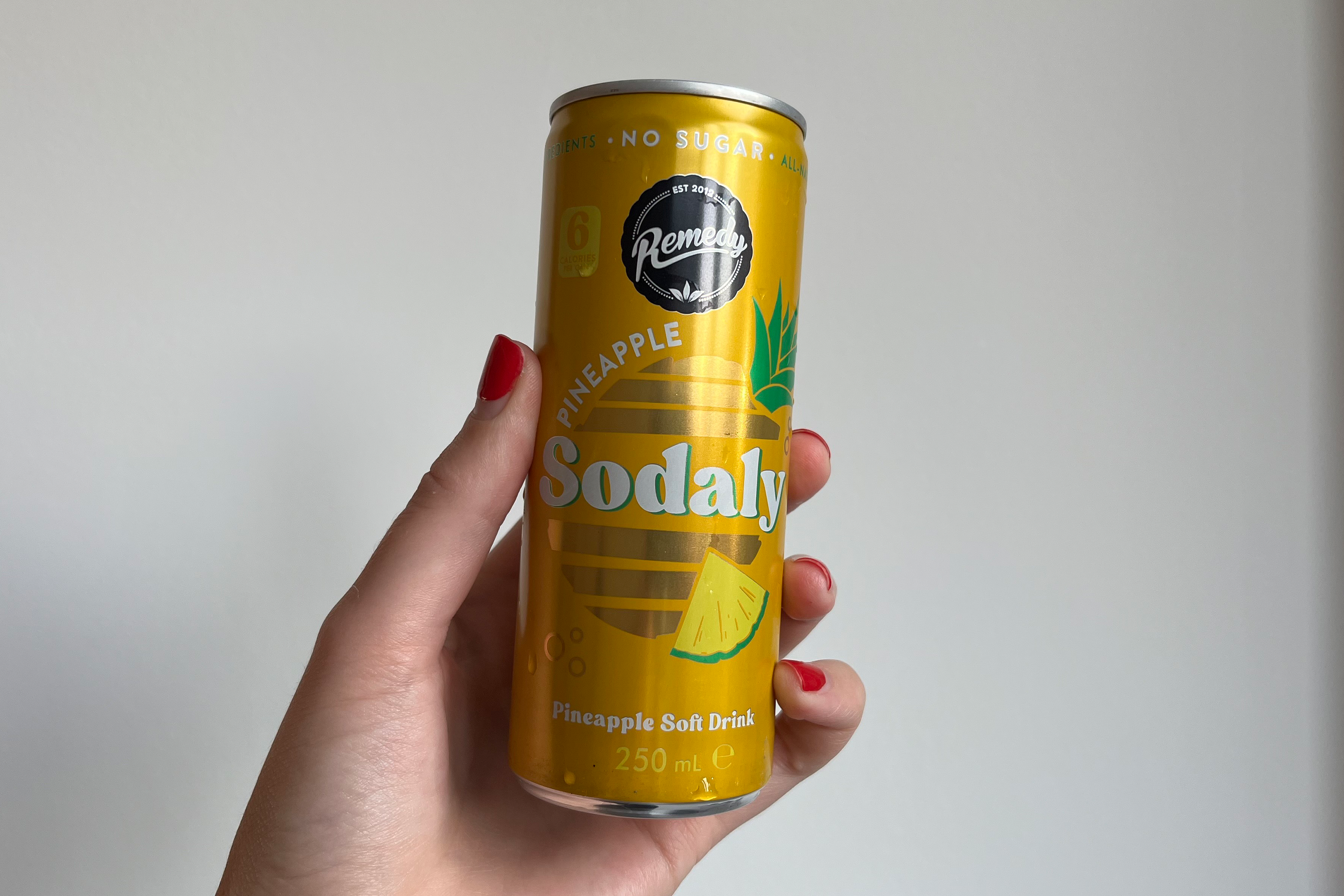 These are pre-mixed sodas with an ACV base (Alice Reynolds/The Independent)