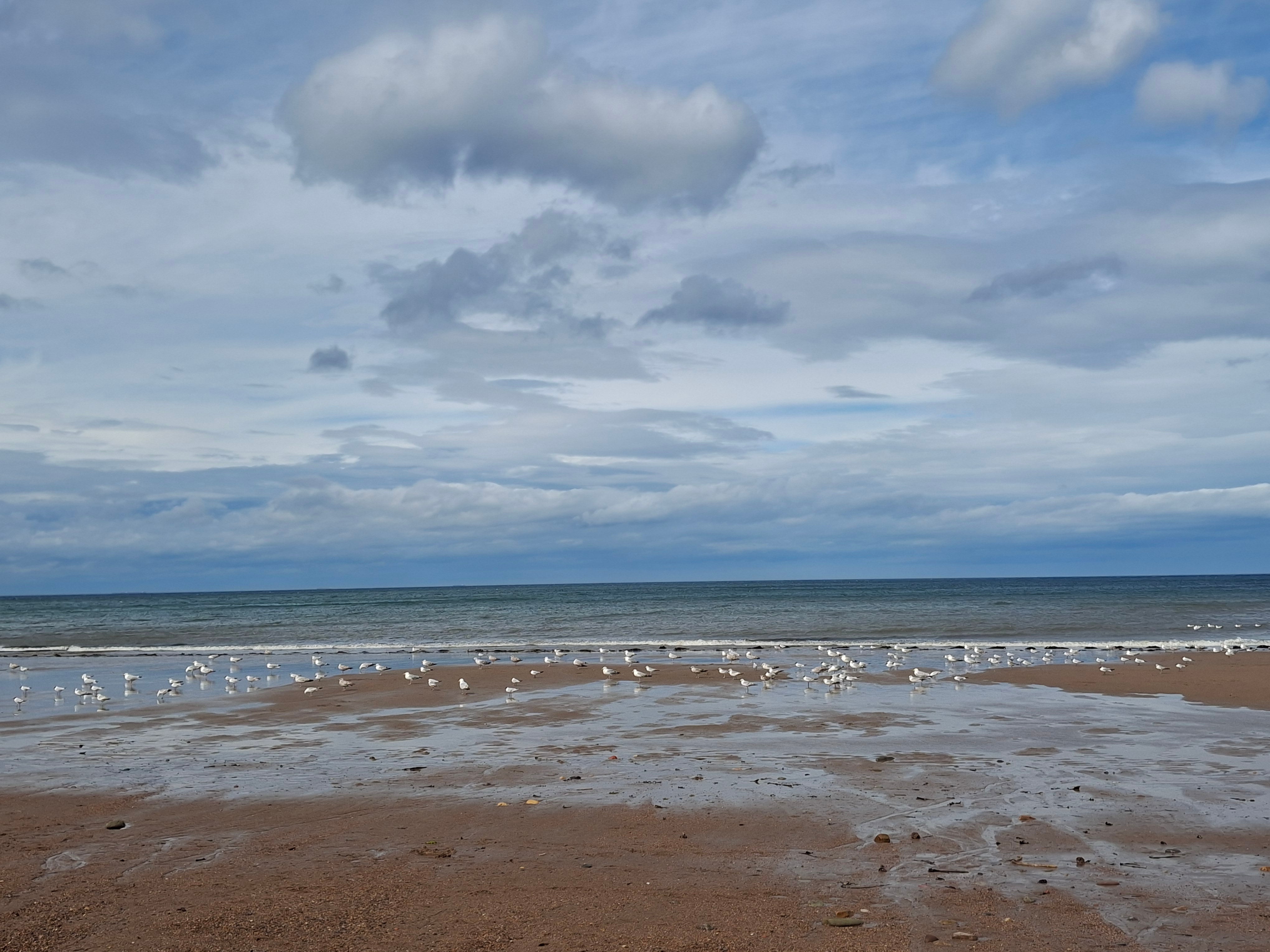 The golden coast of Cattersty Sands