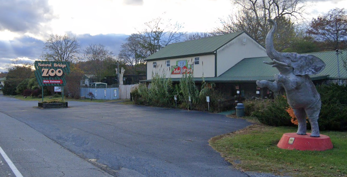 An unsealed search warrant application reveals a slew of new details regarding the year-long search for a pair of baby giraffes that vanished from the Natural Bridge Zoo (Google Maps)