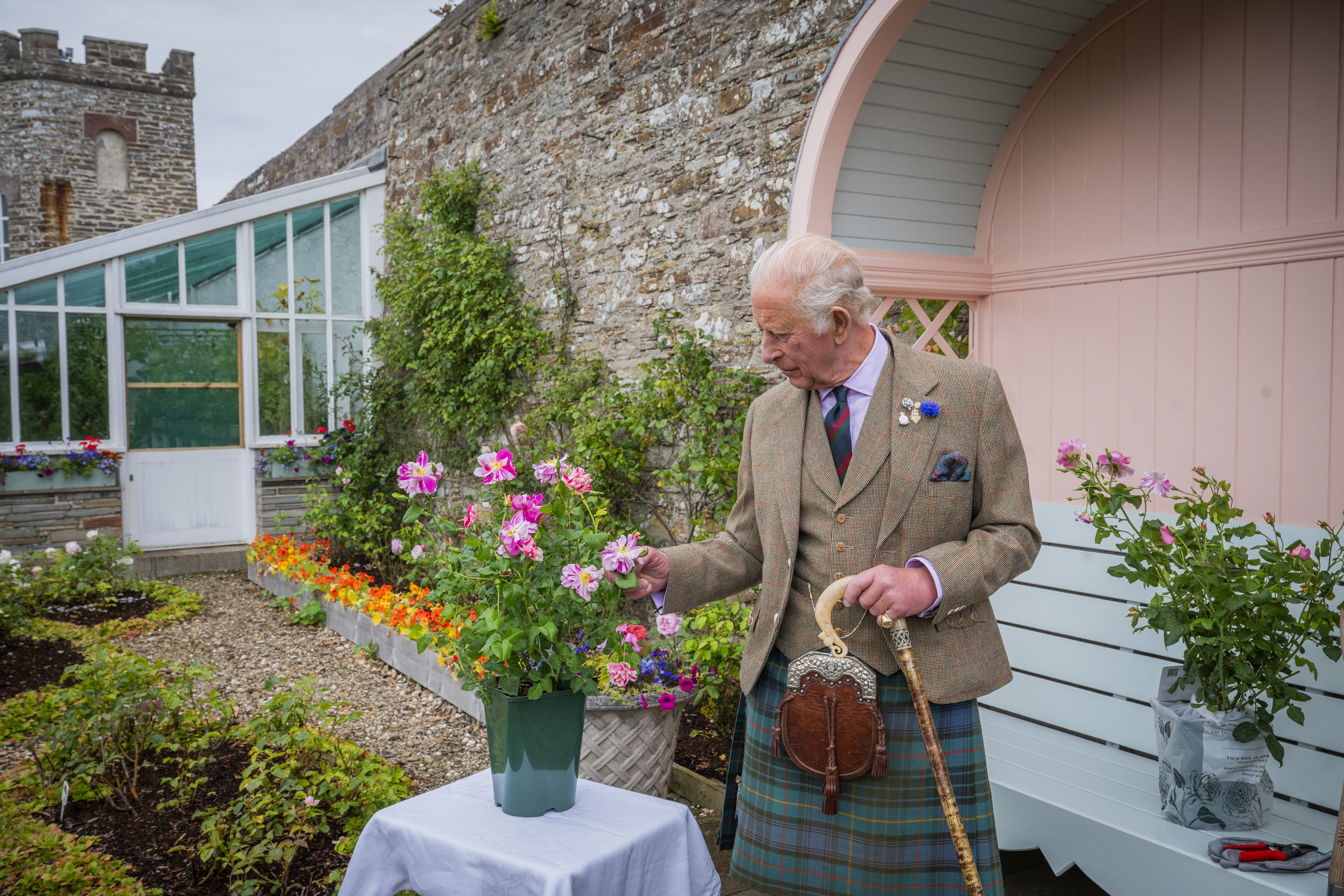 Charles planted The King’s Rose in the gardens developed by his grandmother the Queen Mother (Chris Watt/The King’s Foundation/PA)