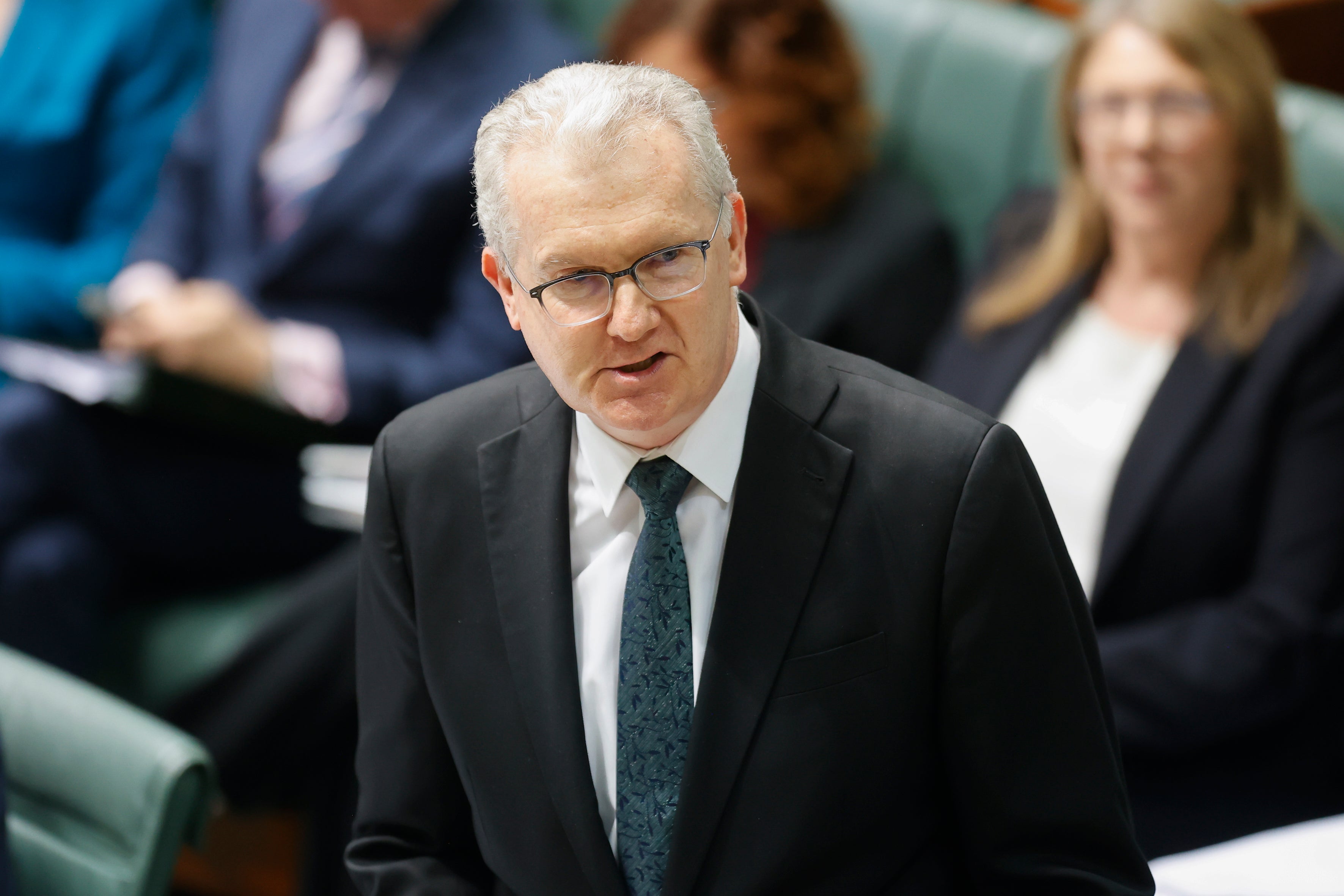 Immigration minister Tony Burke officiated the ceremony