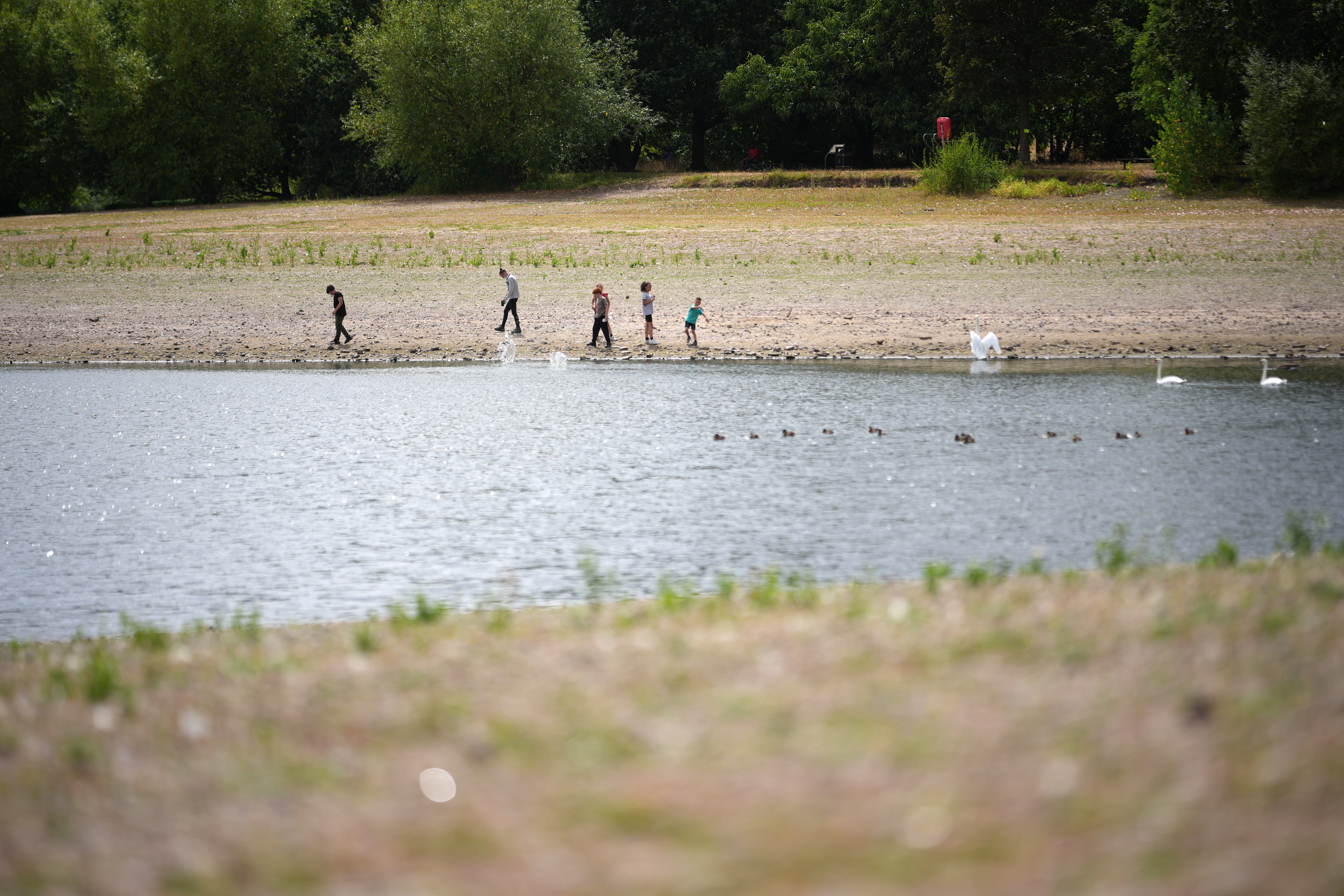 The EA said the analysis showed that “too many water bodies are not achieving the standards we want to see.”