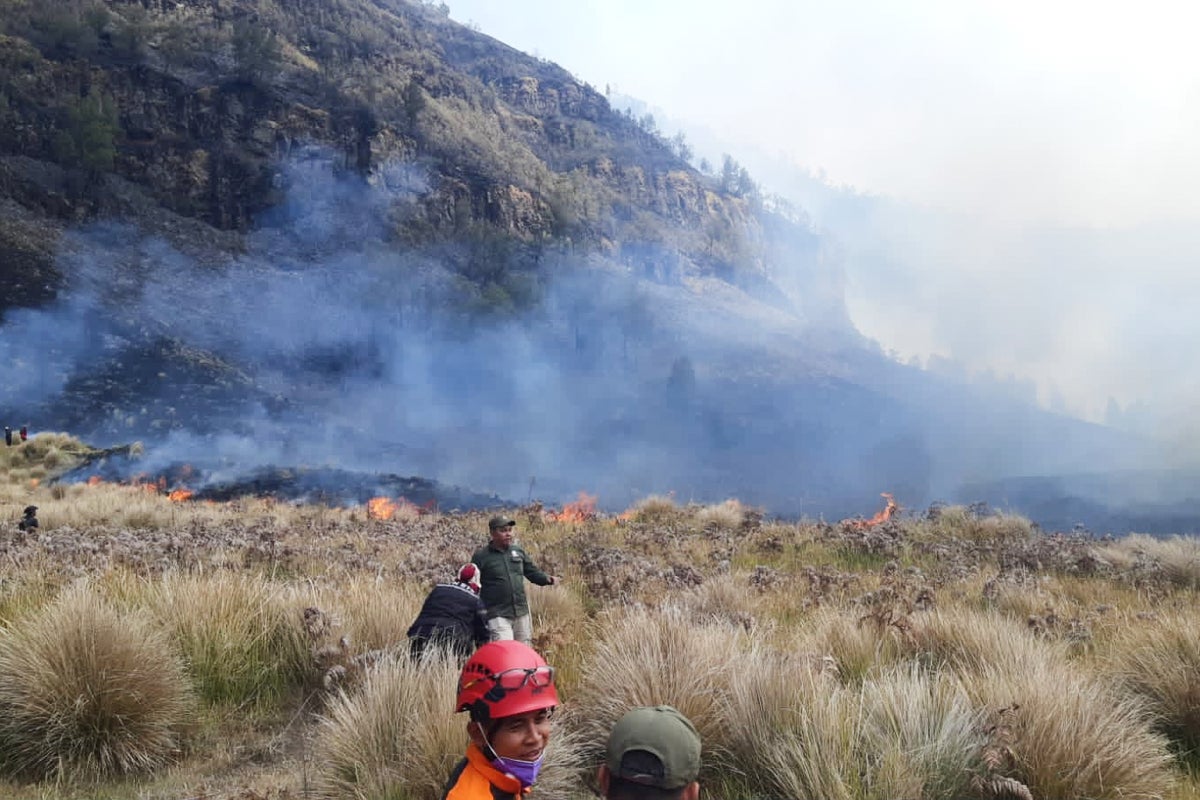 Fire destroys about 60 hectares in Indonesia’s Mount Bromo National Park