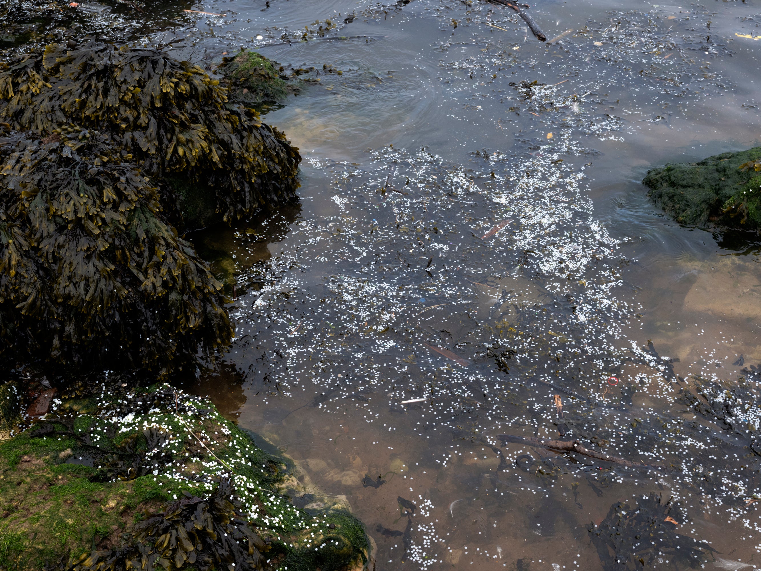 Nurdles on the water surface at South Groyne beach, South Shields
