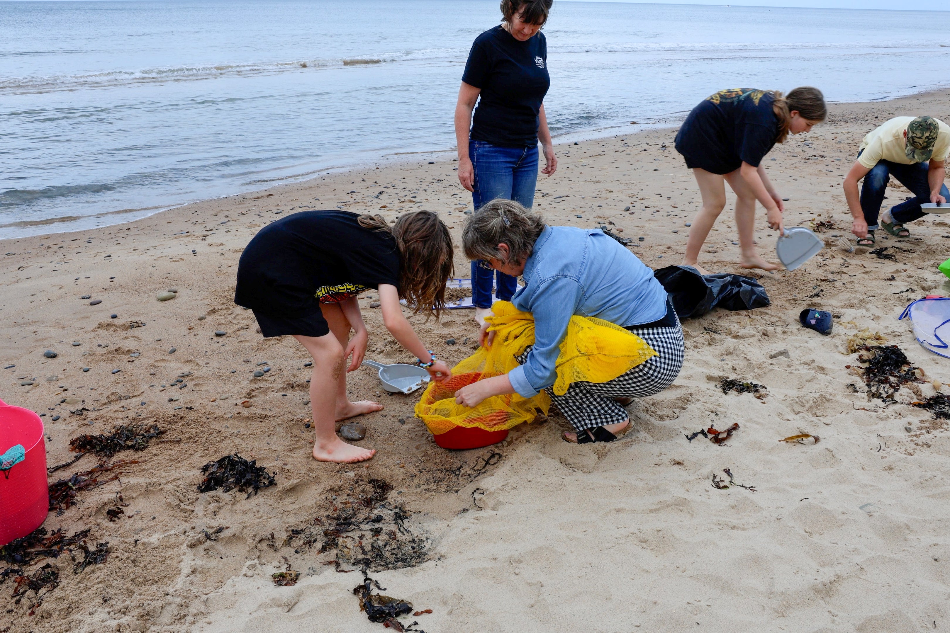 Volunteers have been picking tiny nurdles out of the sand (Leah Pattem)
