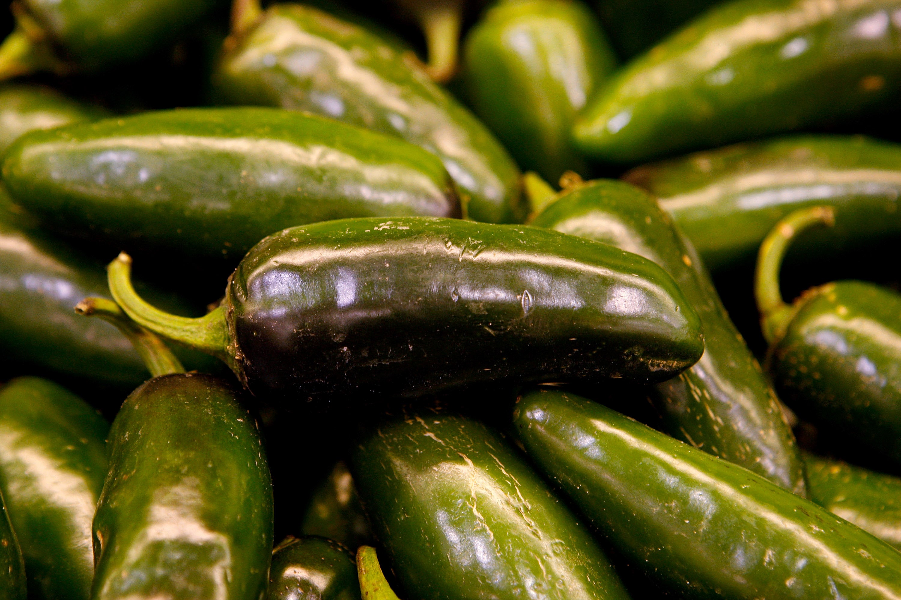 Over 300 people have been infected with Salmonella from jalapeño peppers sourced from Mexico, according to federal health officials