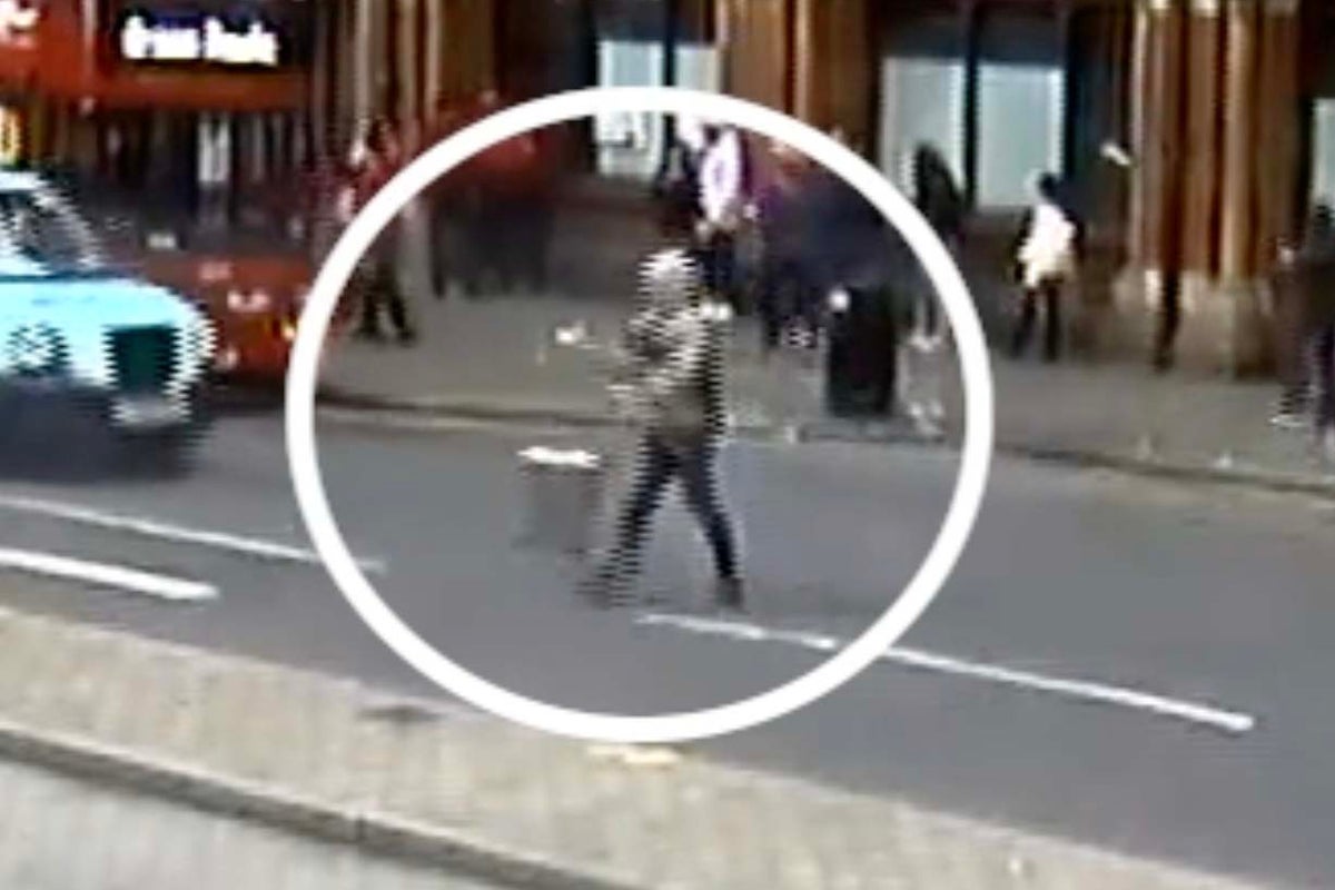 ‘Devious’ thief offered to help Eurostar passenger then stole £175k suitcase