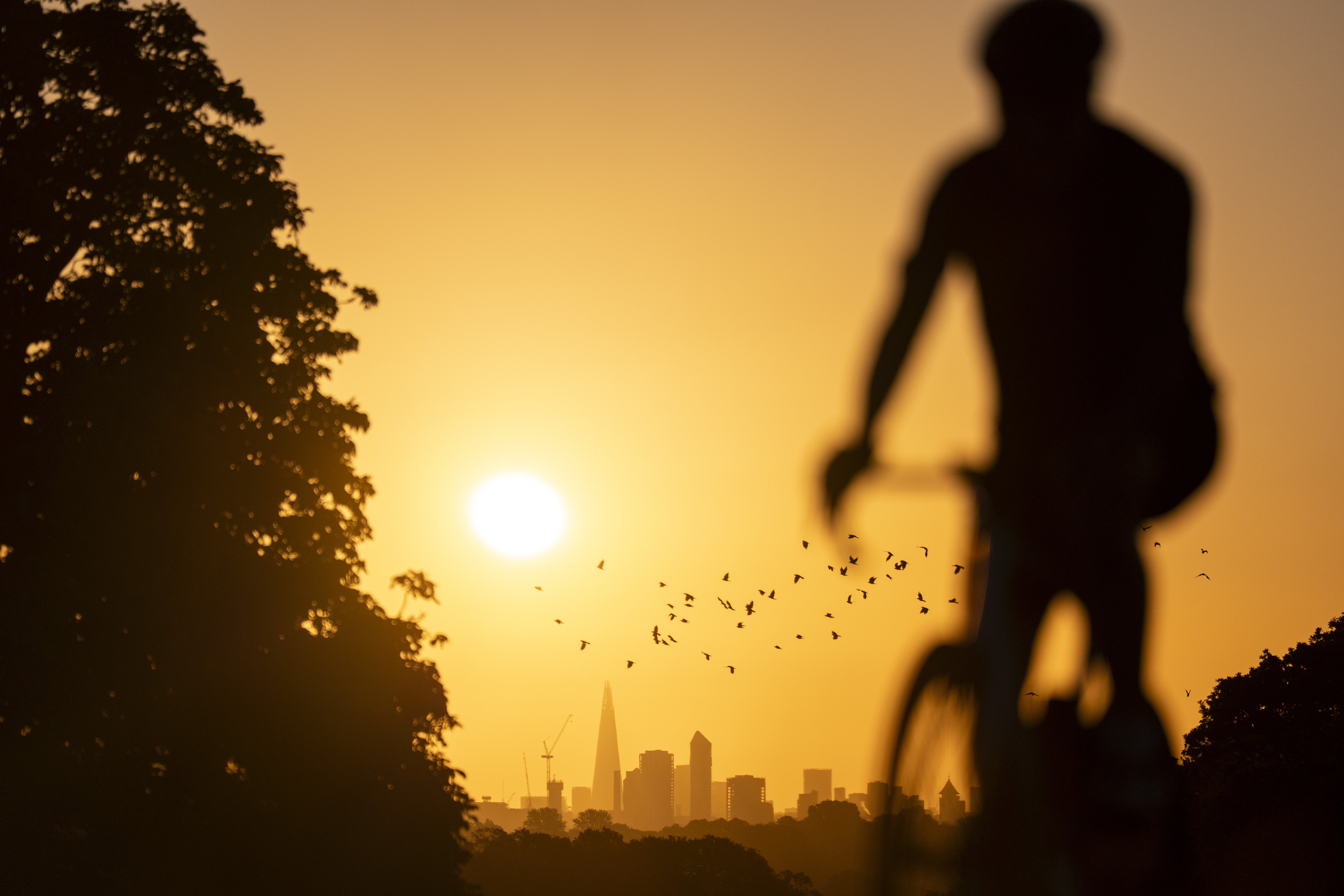 A cyclist in Richmond Park, London (Ben Whitley/PA) (PA Wire)