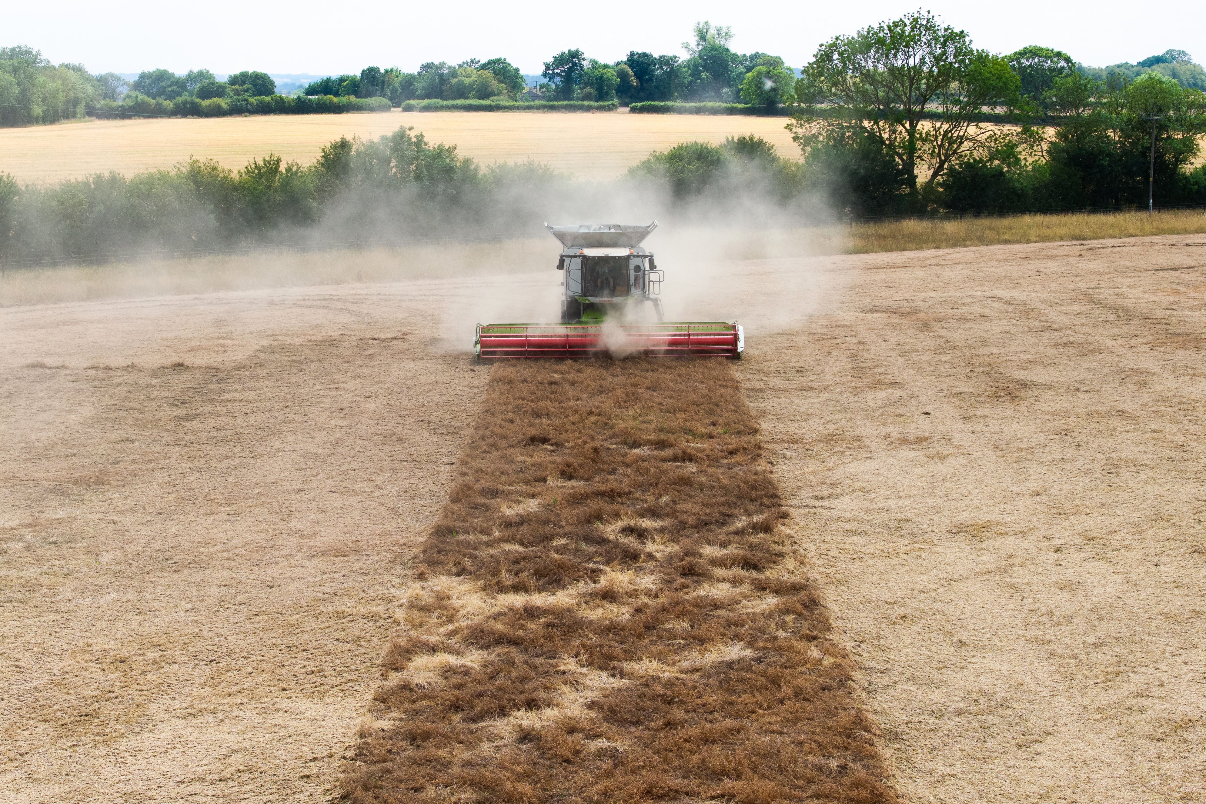 Heatwaves threaten Britain’s ‘worst food security crisis in decades’