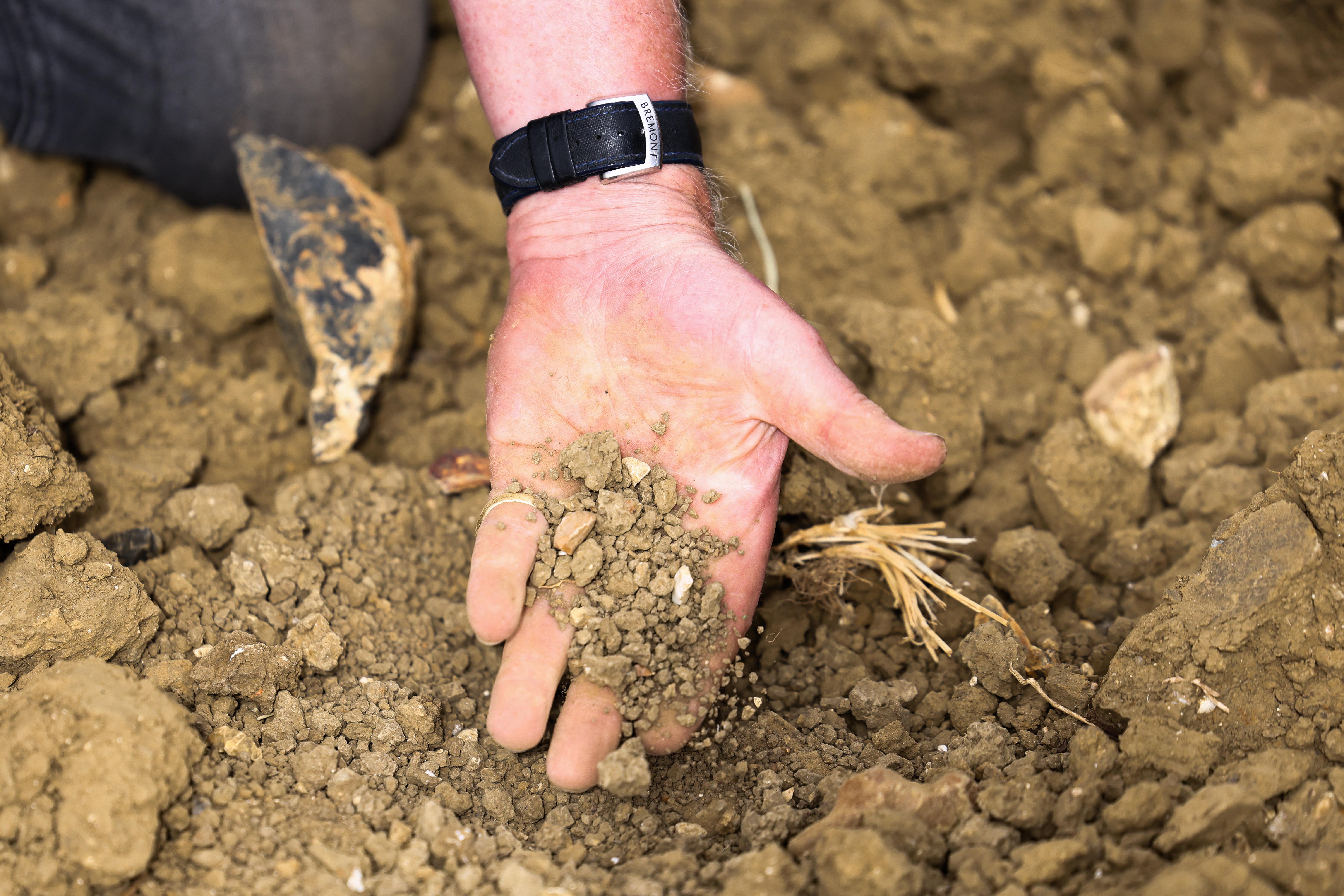 In its proposals for the Government’s October Budget, NFU is also calling for an extension to annual investment allowances to include infrastructure such as reservoirs, to boost investment and strengthen domestic food production