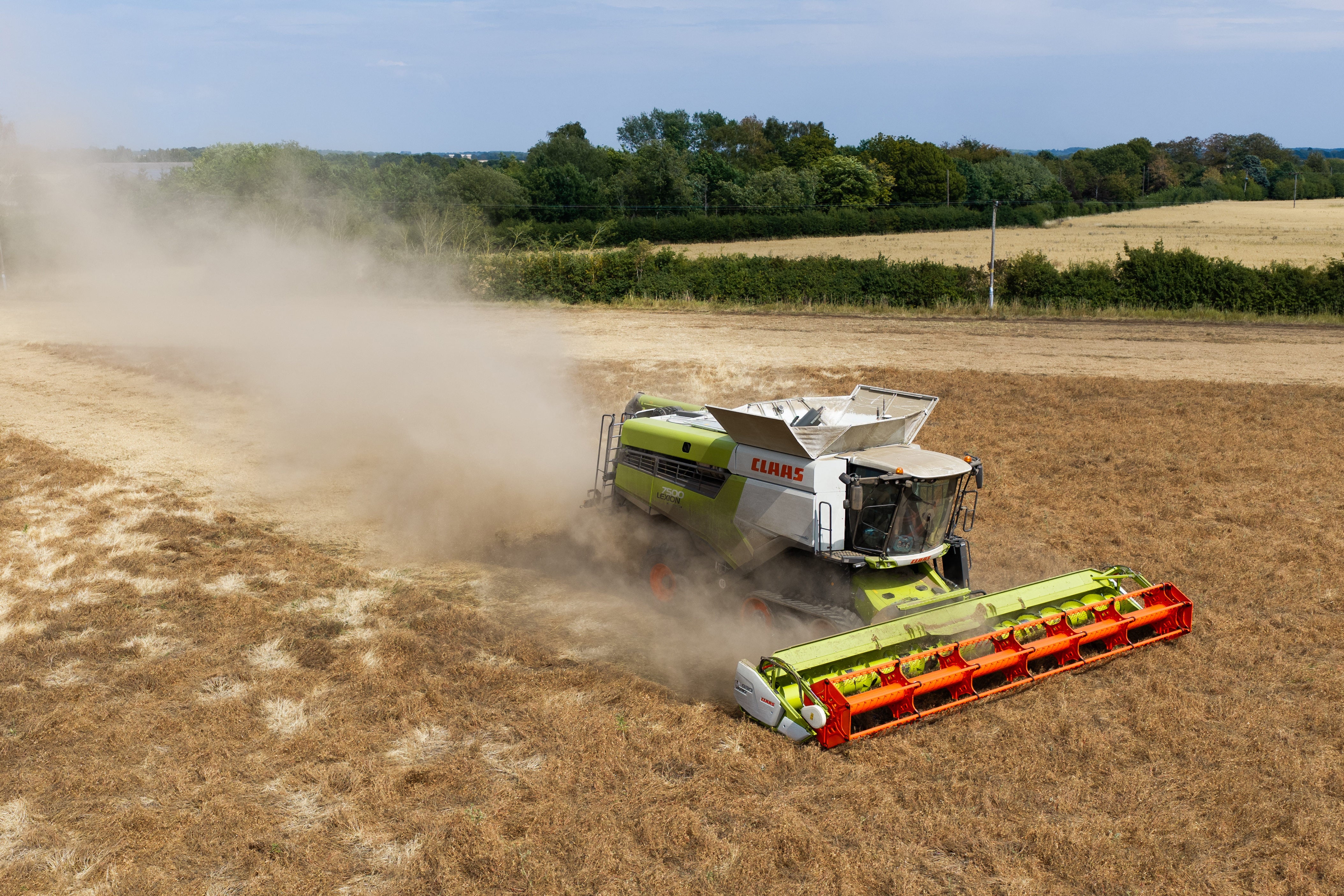 A combine harvester crosses parched fields in Suffolk, England