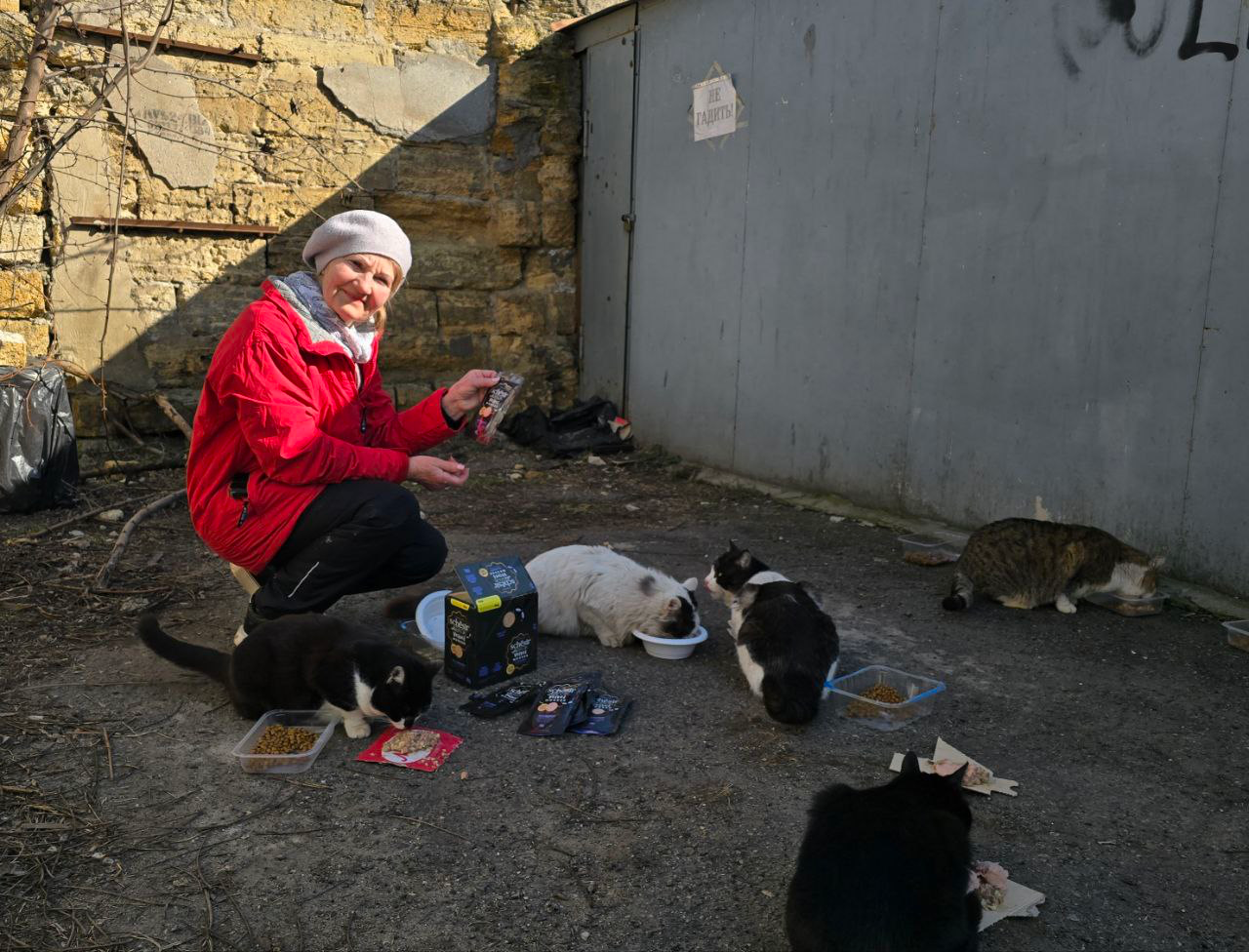 &lsquo;They won&rsquo;t survive without us&rsquo;: The grandmothers of Odesa caring for Ukraine&rsquo;s stray animals