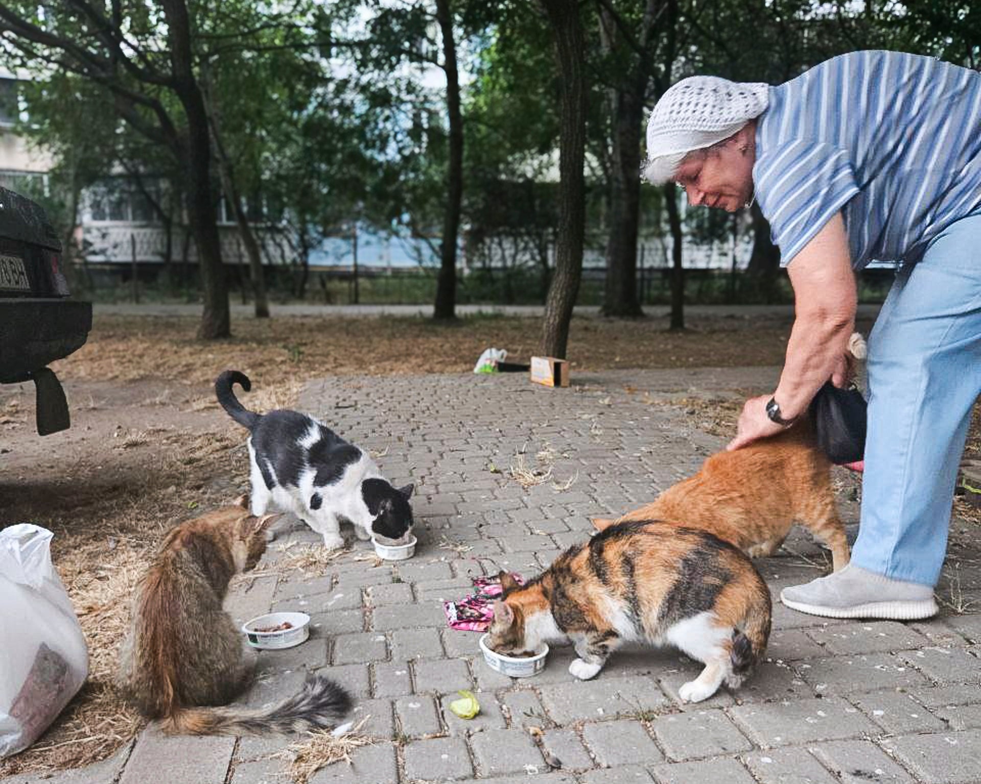 Nataliia spends her pension money on food for the animals
