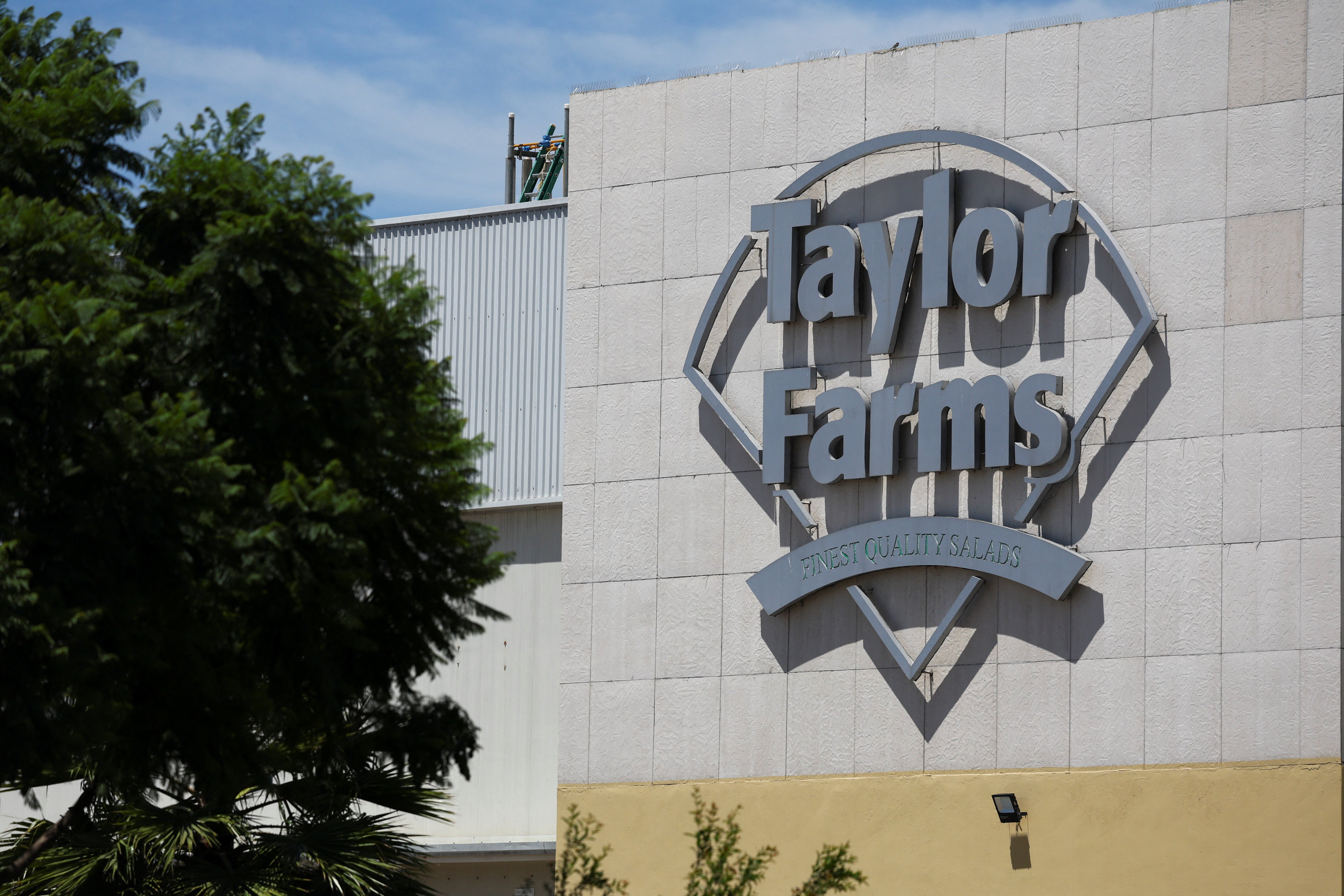 Taylor Farms issued a voluntary recall of its iceberg lettuce sourced from Mexico earlier this summer