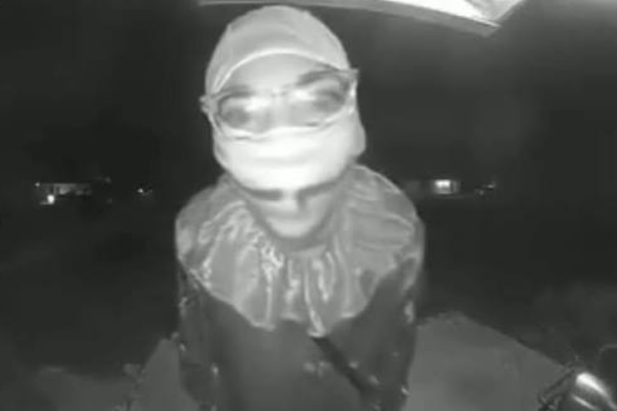 Teen in a clown outfit accused of murdering 78-year-old man in ‘random attack’ at bus stop