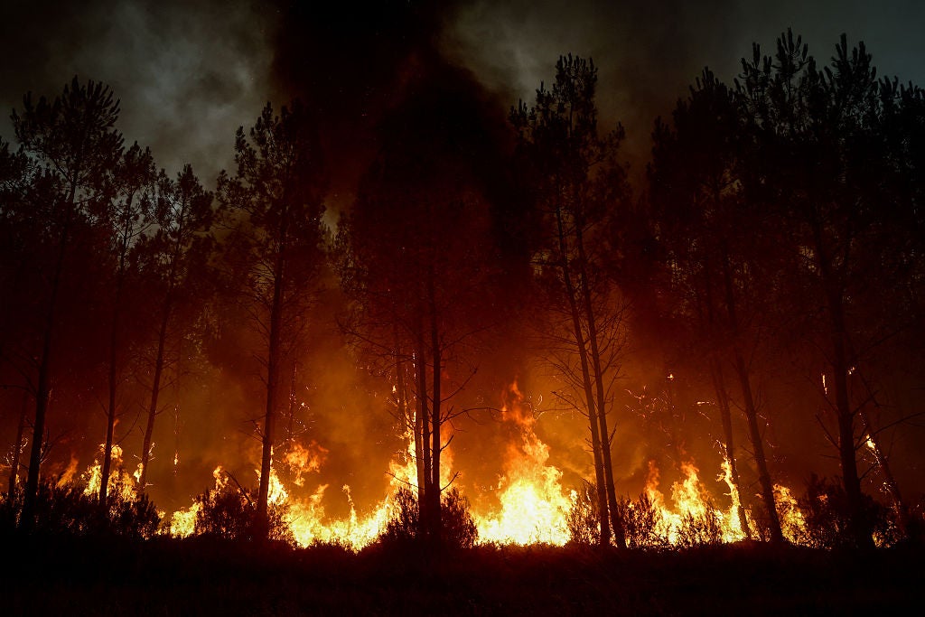 A wildfire tore through 42,000 hectares of the Gironde region in south-western France