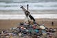 Harry Potter fans force diversion of £430m giant pipeline to protect Dobby’s ‘grave’