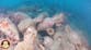 Ancient Roman shipwreck believed more than 2,000 years old discovered off Sicily coast