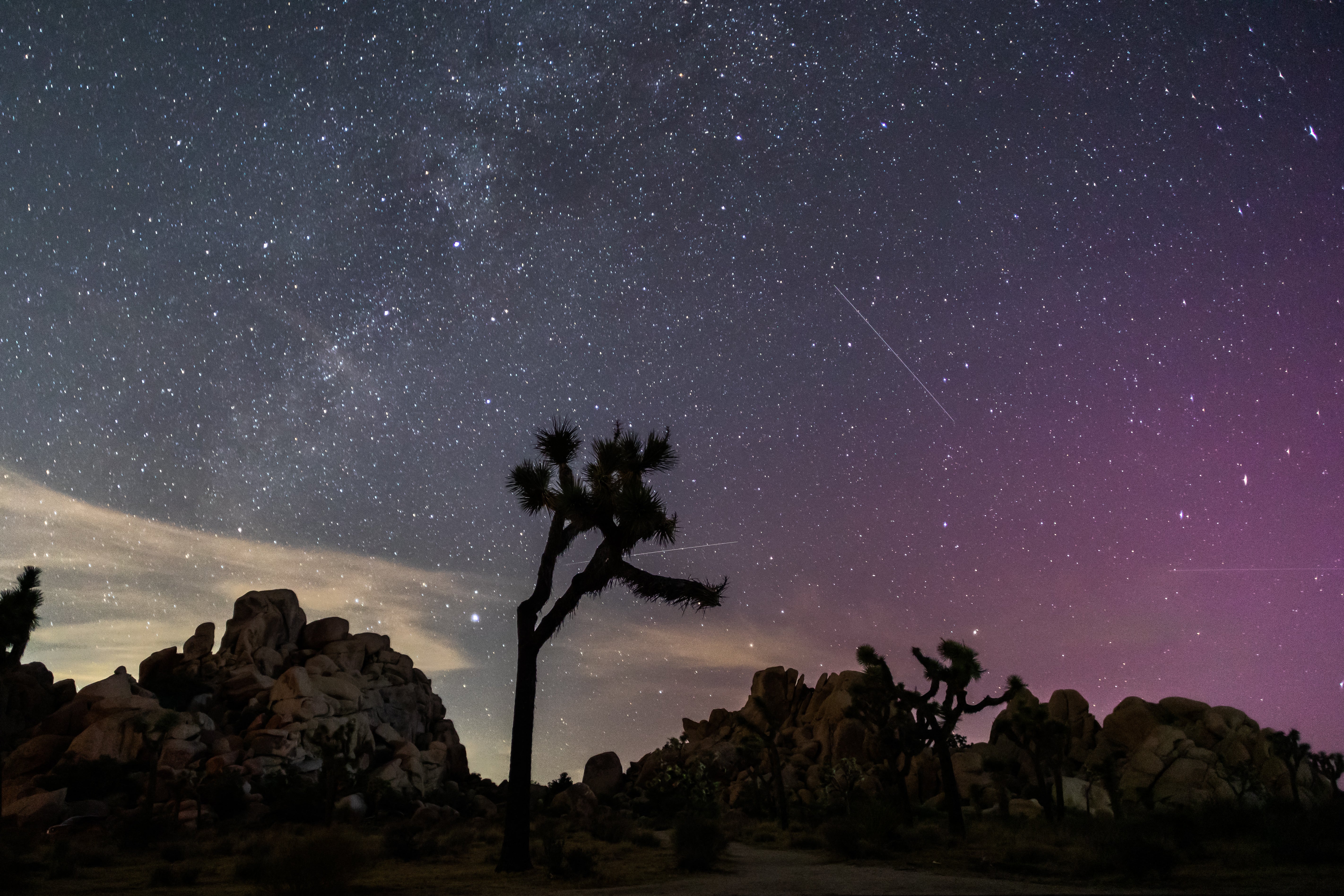 Northern Lights (Aurora Borealis) illuminate the sky above Joshua Tree National Park during the Perseids Meteor shower in Joshua Tree, California in 2024