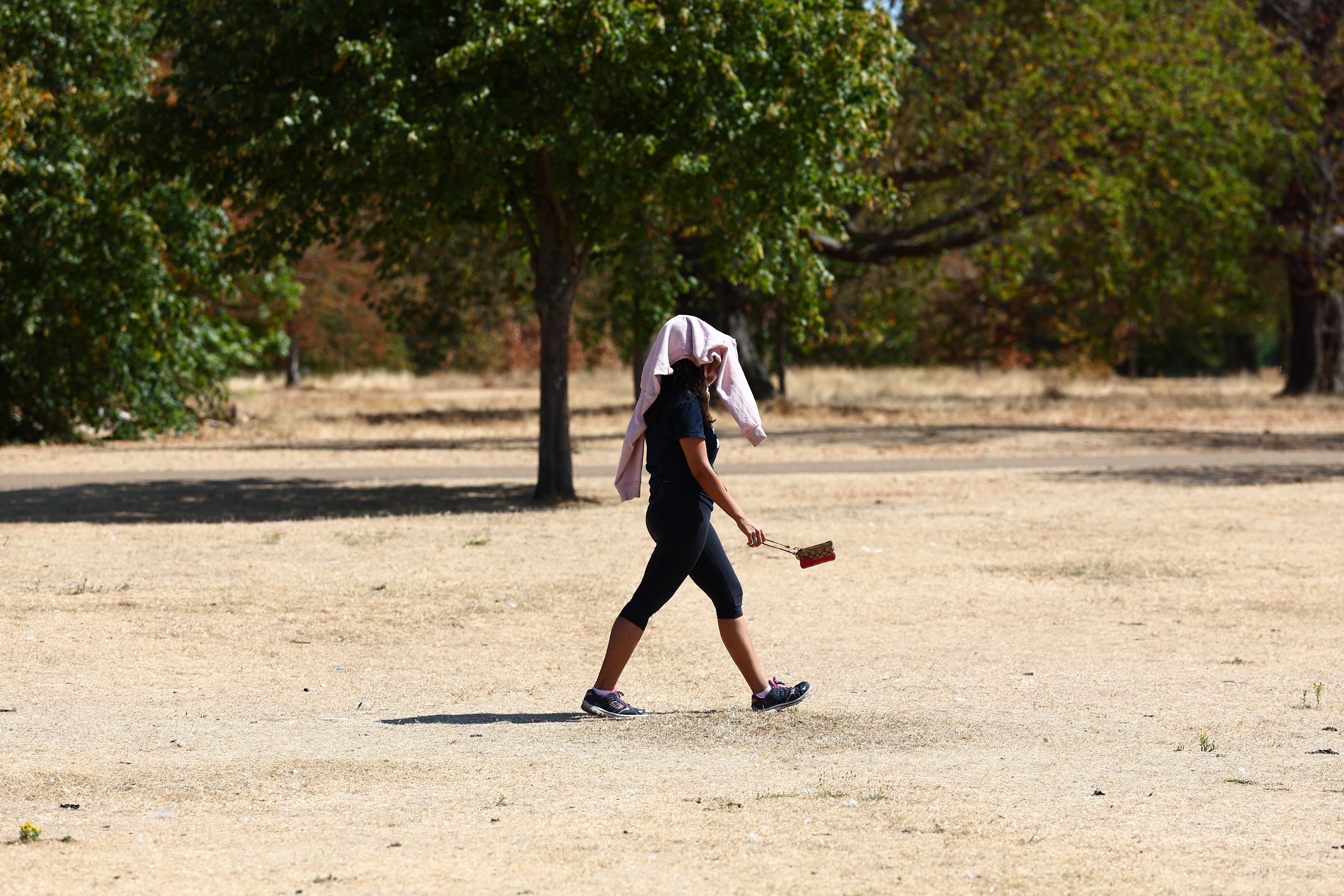 Drought expected to be declared in more parts of England as another heatwave looms