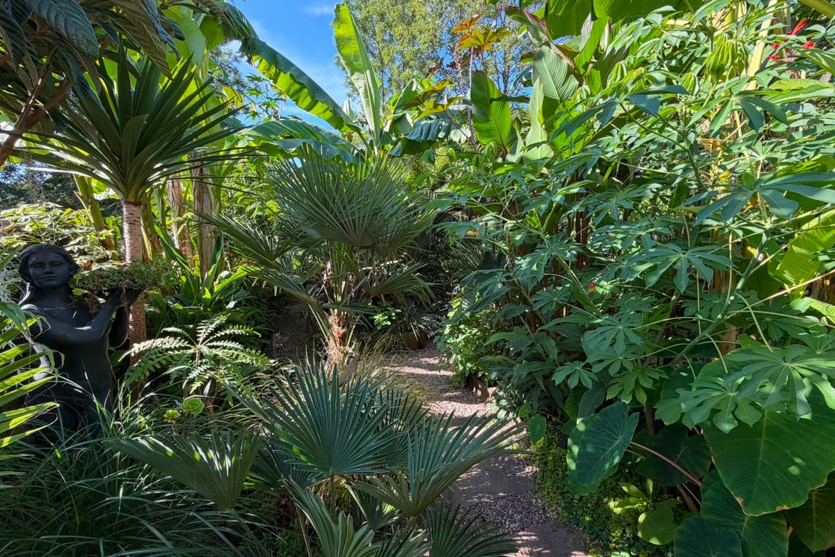 Create an exotic garden which will survive extreme weather Create an exotic garden which will survive extreme weather