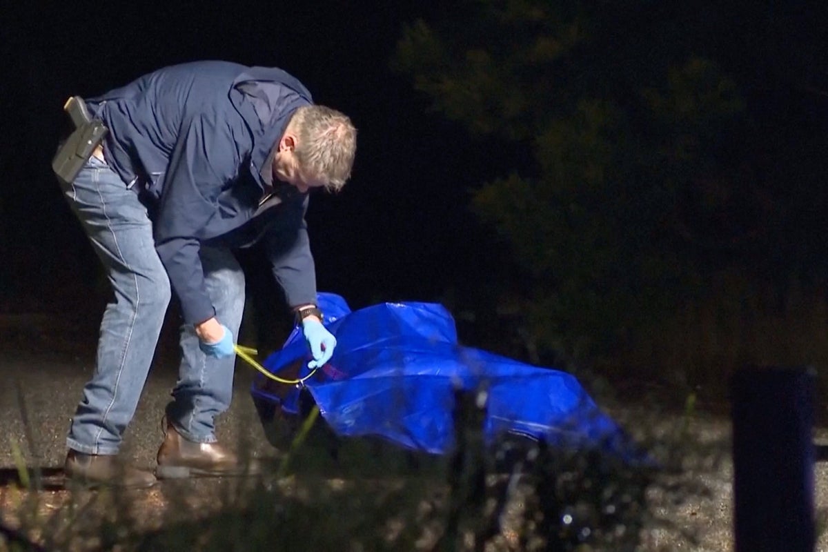 Why Australian police took 20 hours to confirm ‘body’ in suitcase was actually a sex doll