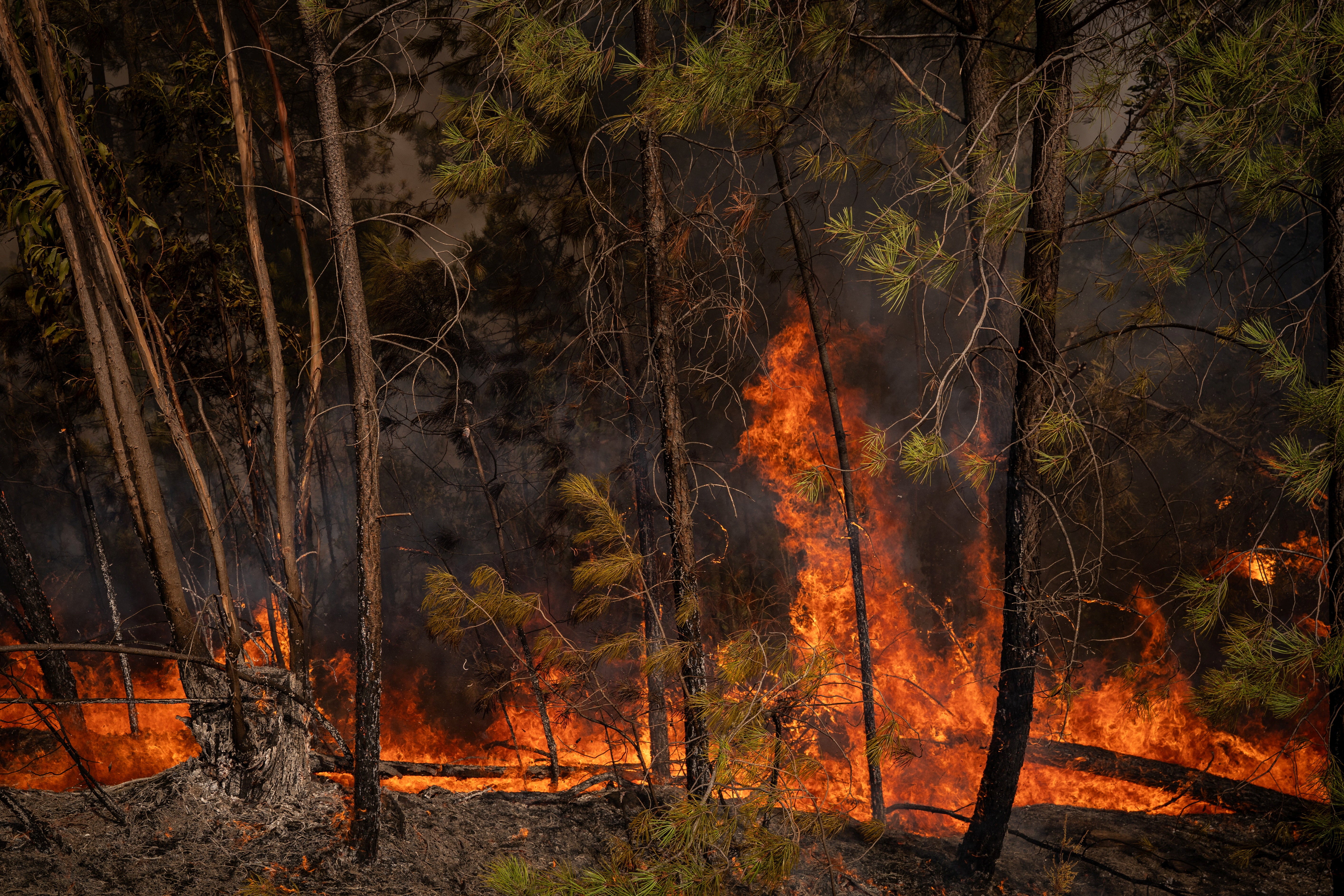 A wildfire burns in Niebla, Huelva, Spain, on August 8, 2026