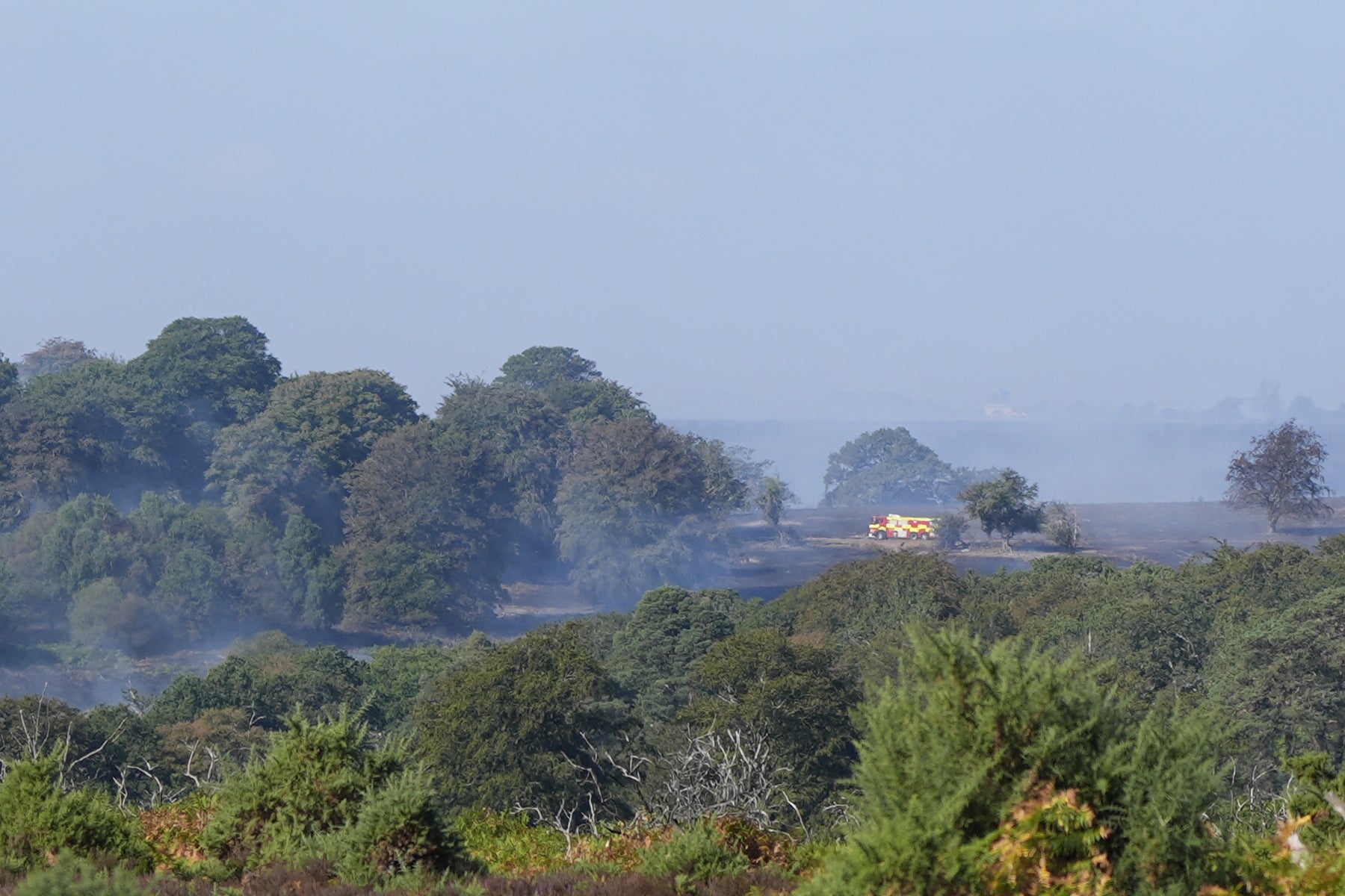Firefighters have been tackling the blaze for the last 36 hours