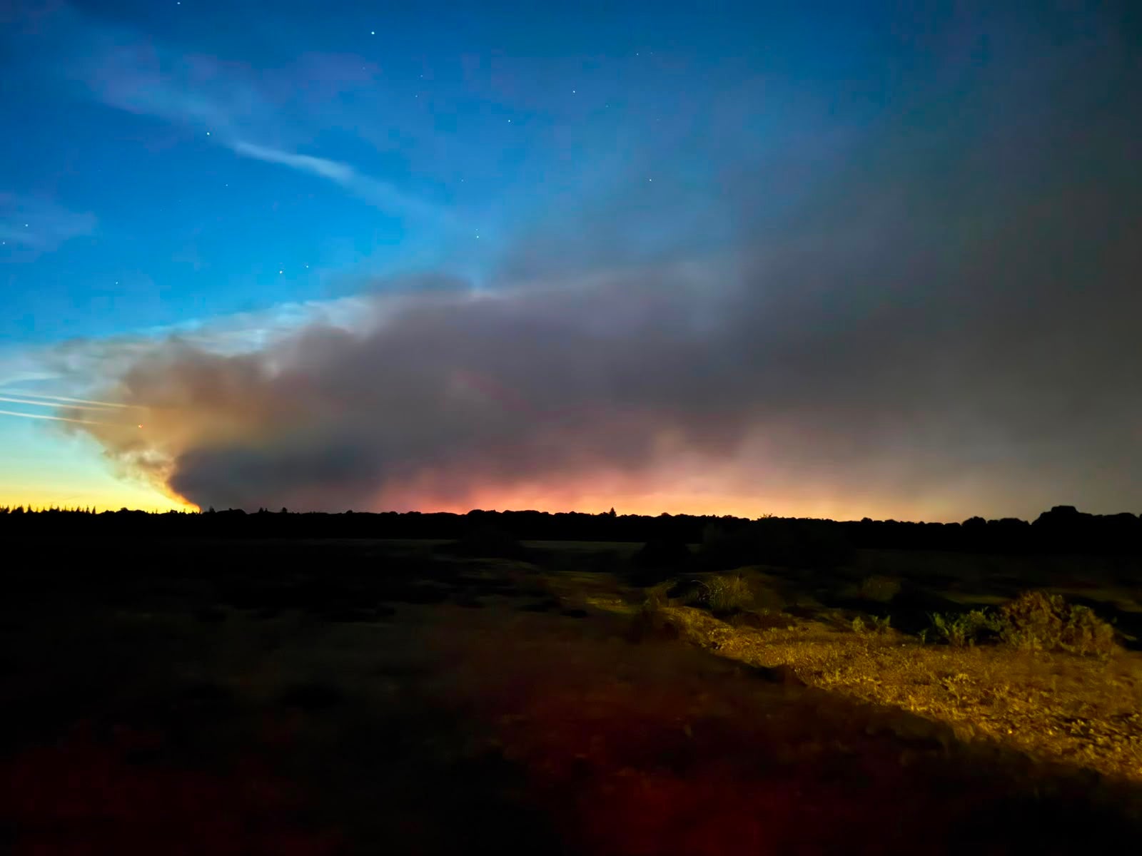 A31 closed as firefighters tackle ‘devastating’ New Forest blaze sparked by vehicle fire