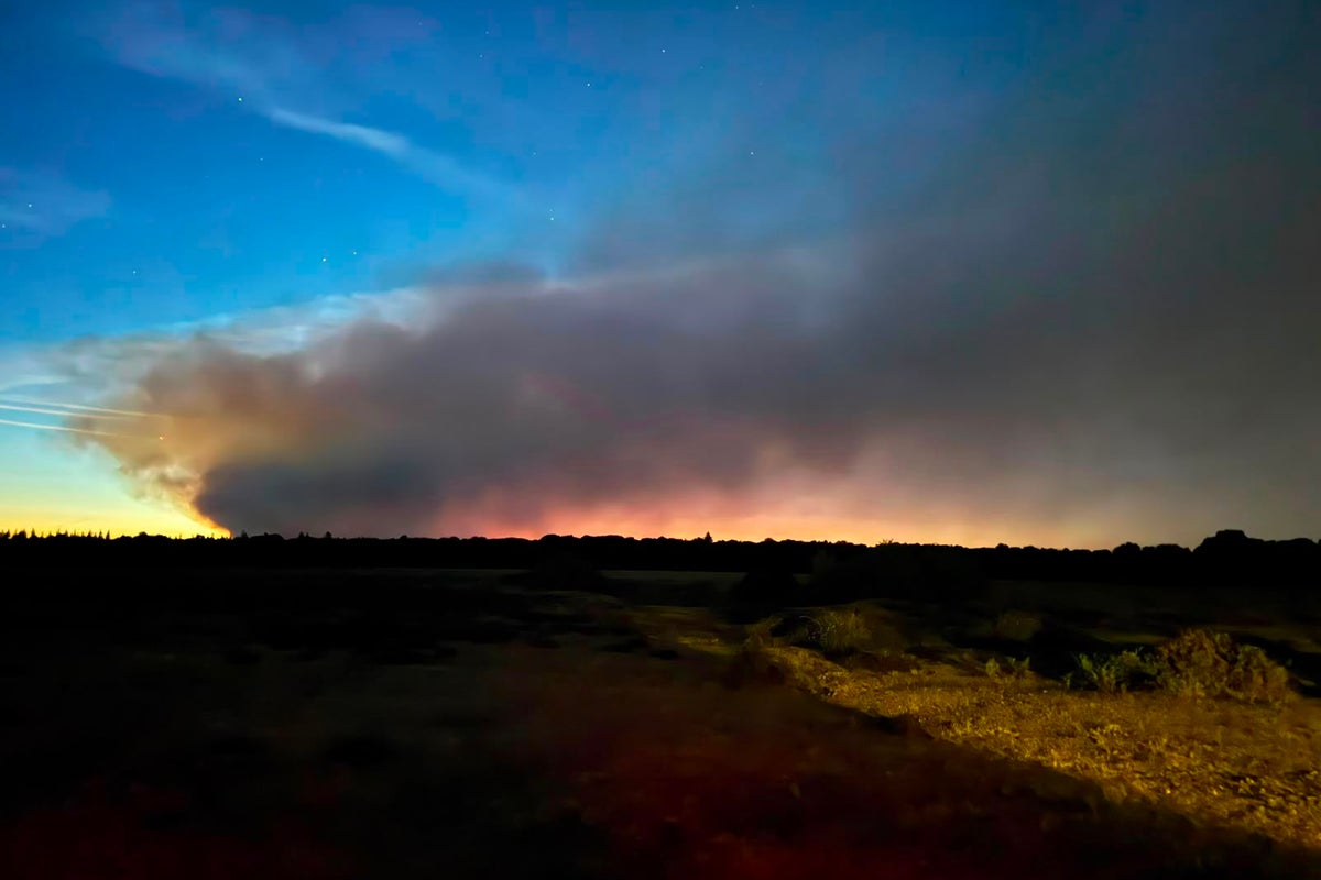New Forest may take decades to recover from ‘devastating’ fire as more than 120 firefighters continue to battle blaze New Forest may take decades to recover from ‘devastating’ fire as more than 120 firefighters continue to battle blaze