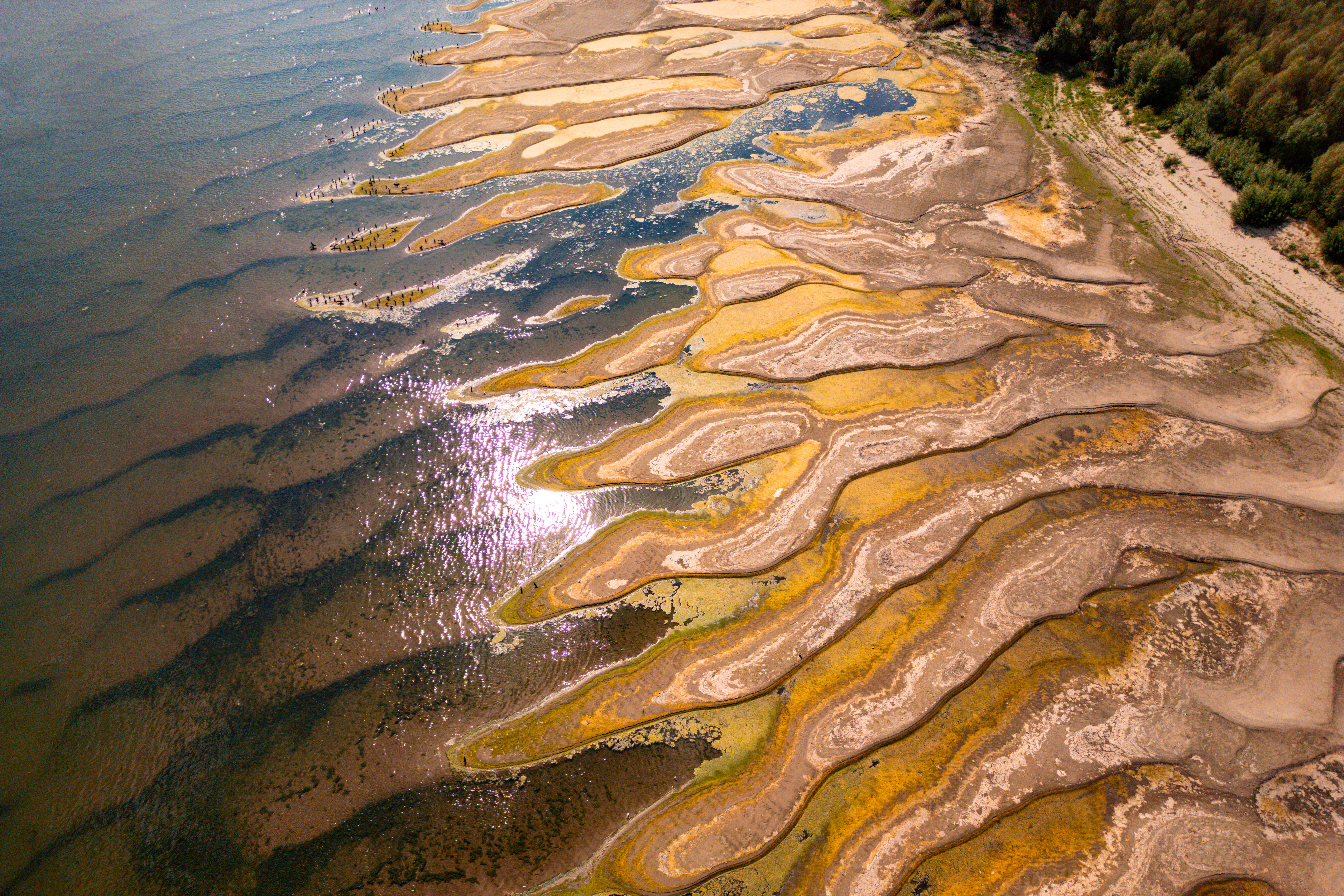 Normally submerged areas of the Danube River are exposed amid exceptionally low water levels, in Rasova, Romania