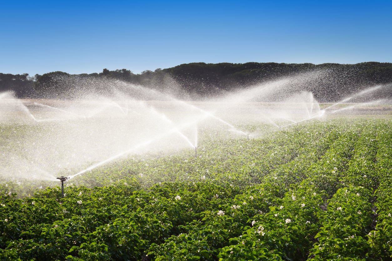 Across the U.S., 200 billion gallons of treated sewage wastewater are used for irrigation of agricultural lands each year