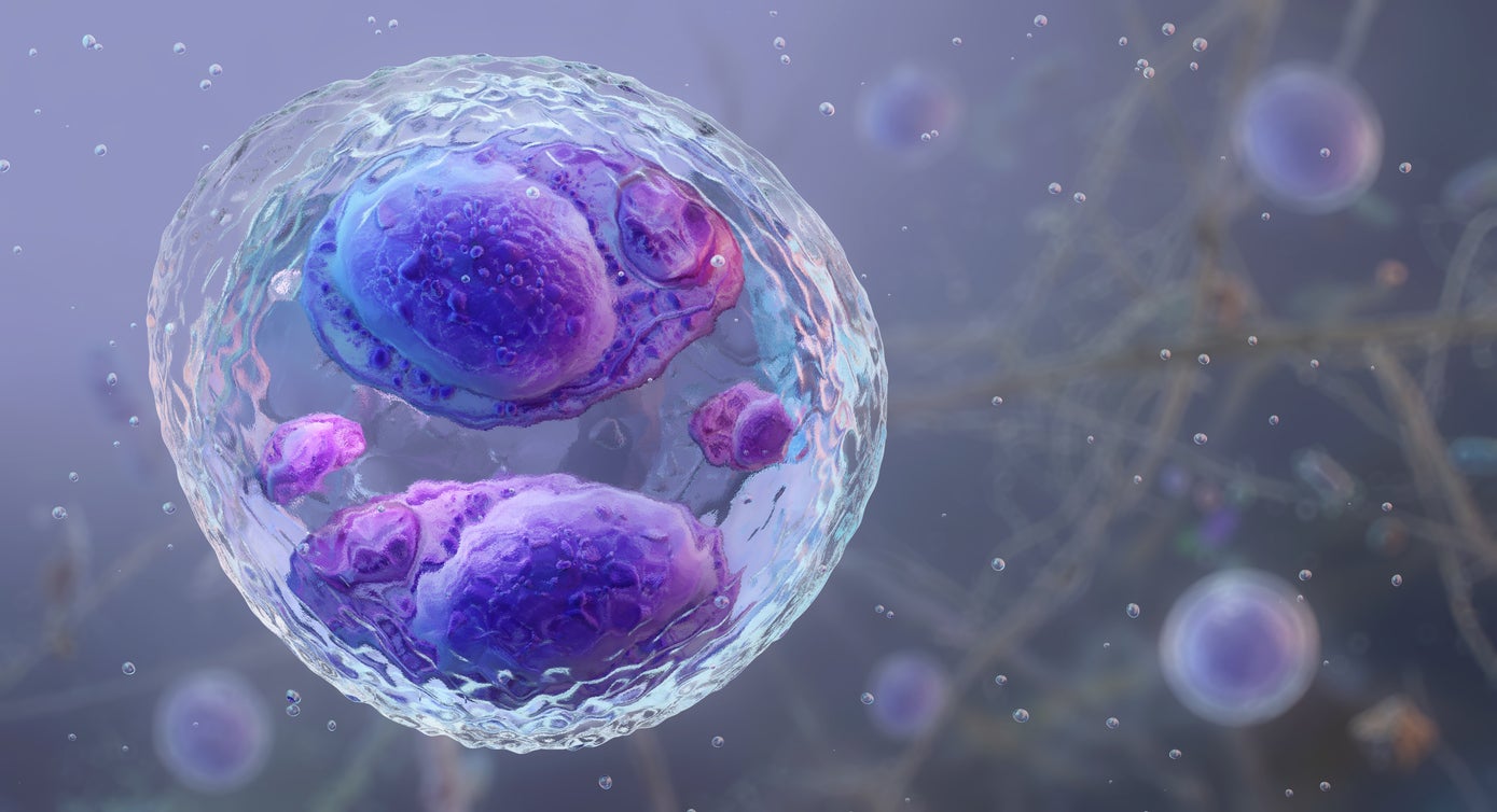 Cyclospora cayetanensis oocyst