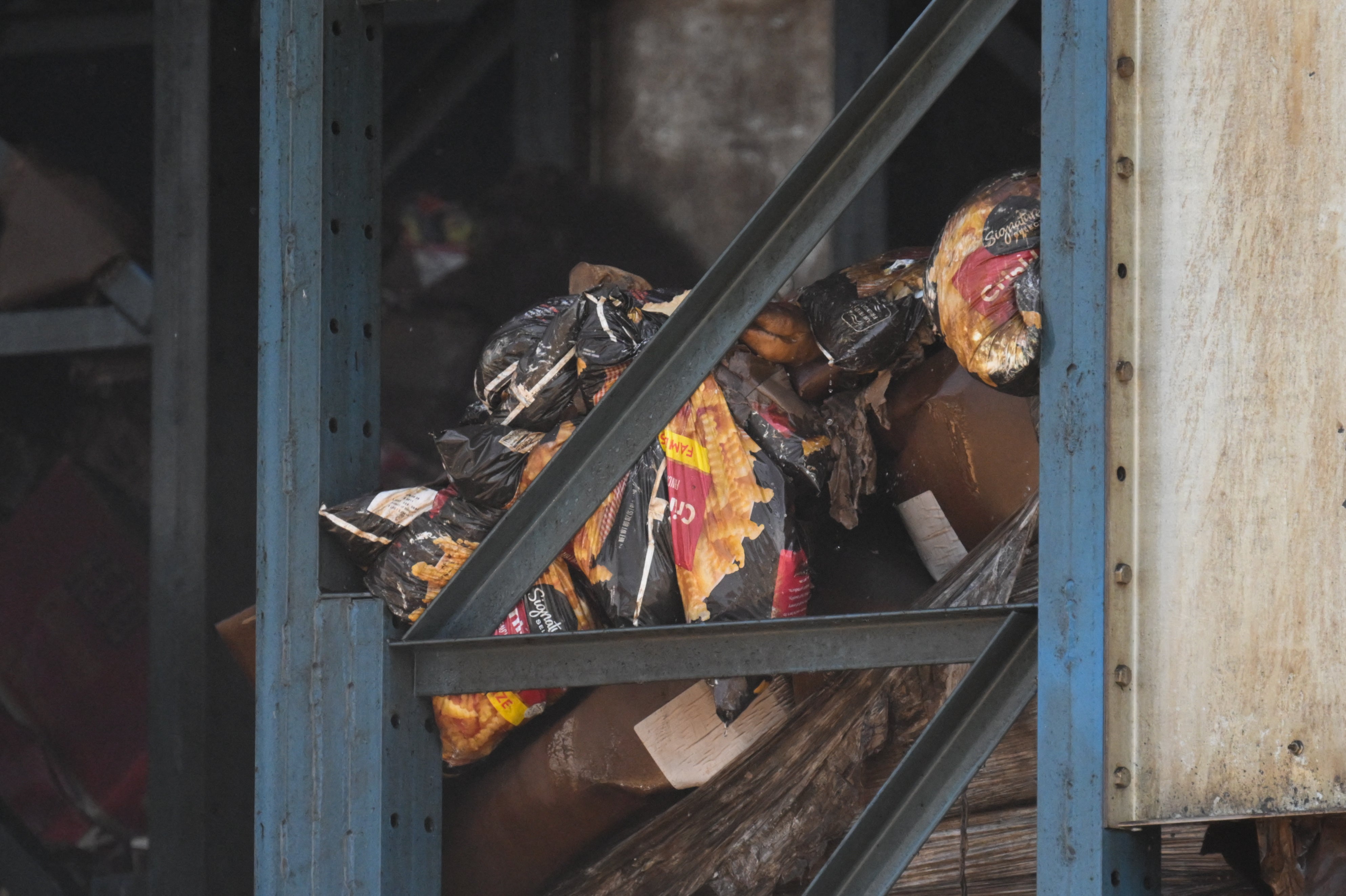 Authorities have warned of flies reproducing rapidly in food waste and hot summer weather