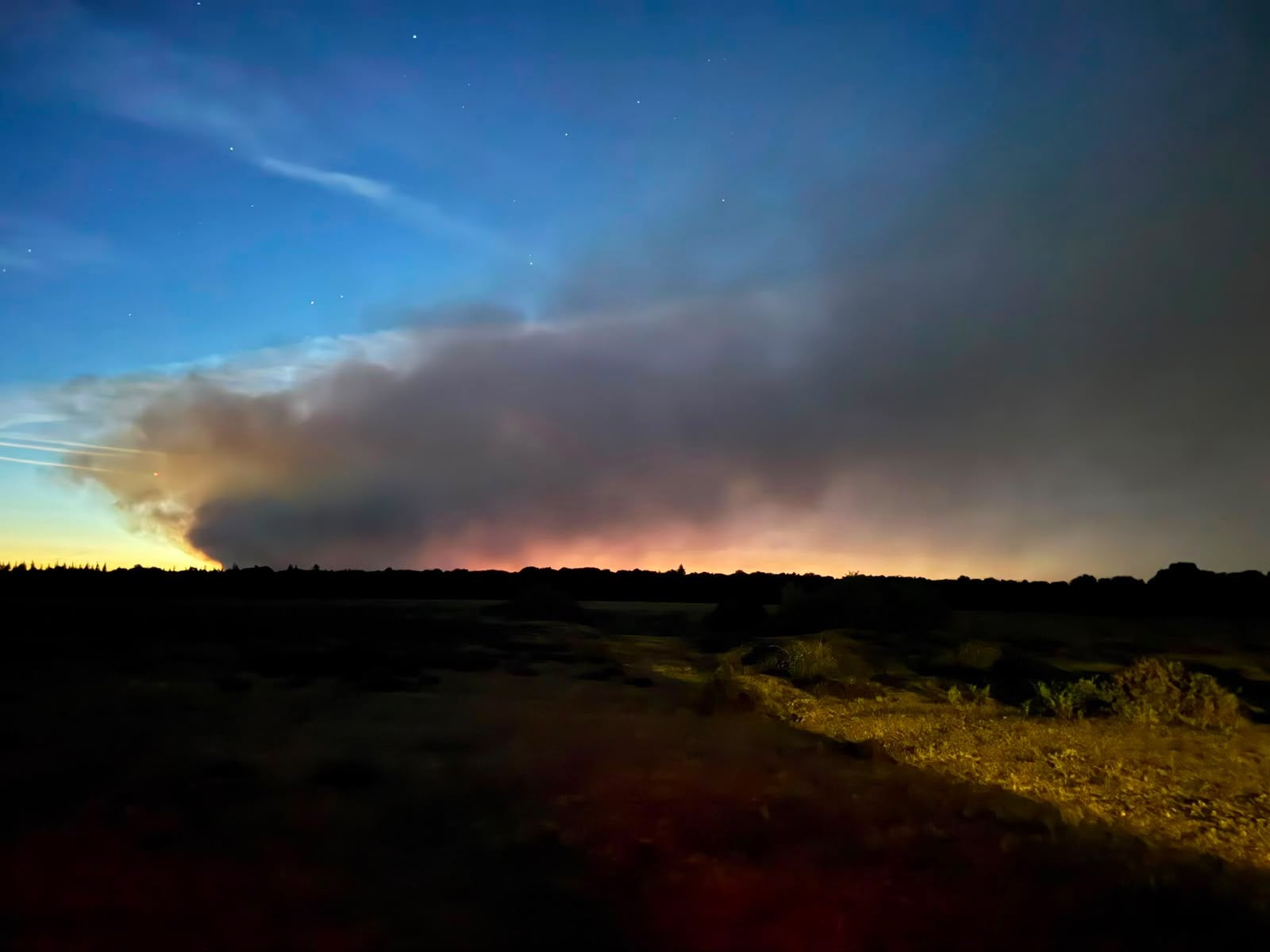 A major heathland blaze in the New Forest near Ringwood in Hampshire (Forestry England/PA) (PA Media)