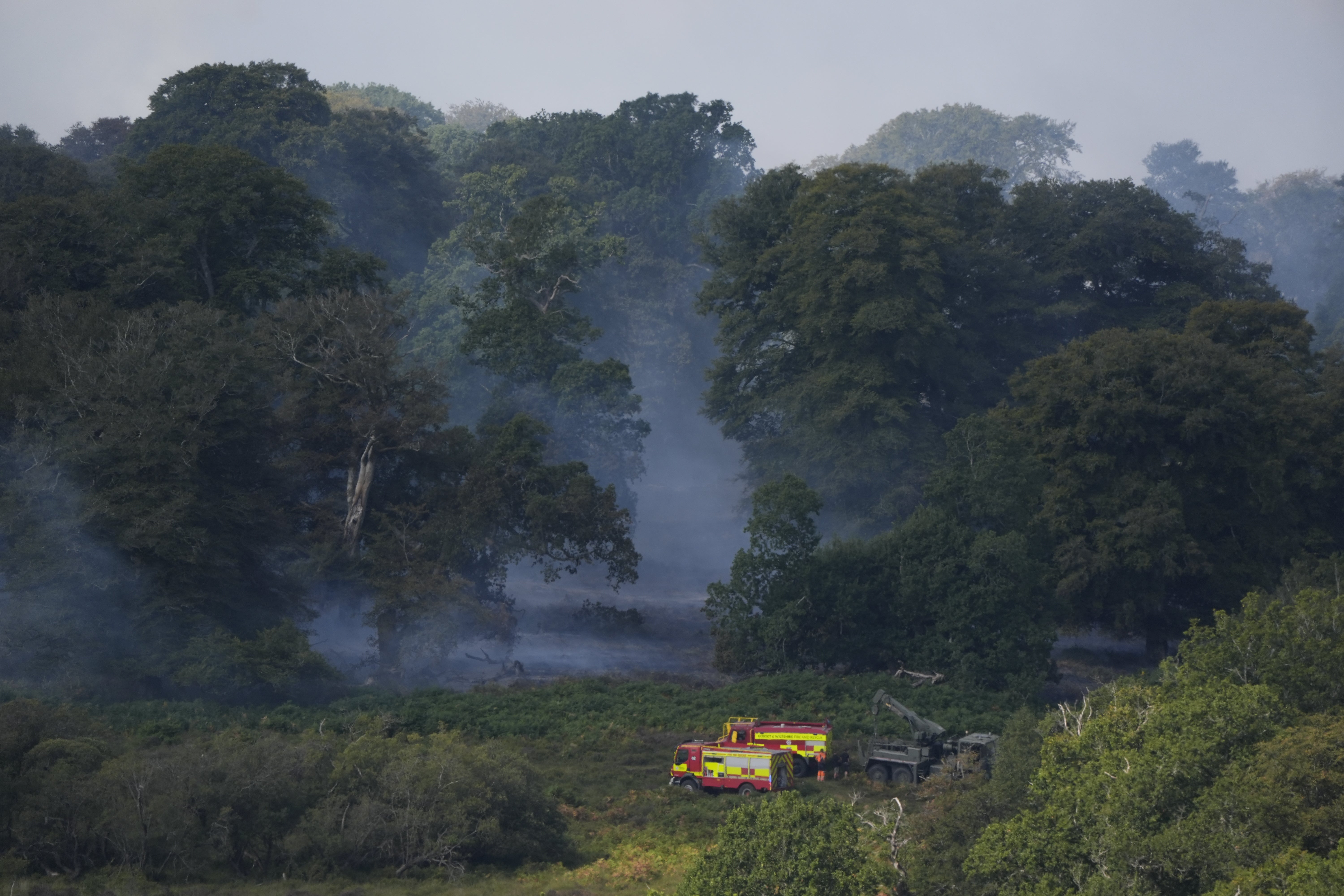 Smoke rises from a major heathland blaze in the New Forest near Ringwood in Hampshire (Andrew Matthews/PA) (PA Wire)