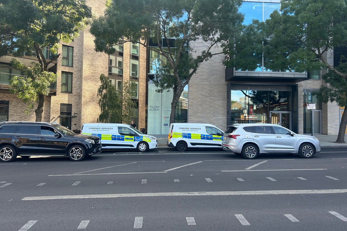 Woman, 23, found dead in north London as six arrested on suspicion of murder Woman, 23, found dead in north London as six arrested on suspicion of murder