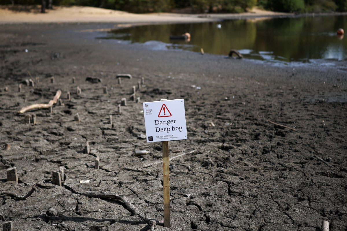 UK drought latest: Almost three-quarters of England declared in drought after heatwaves and record dry weather